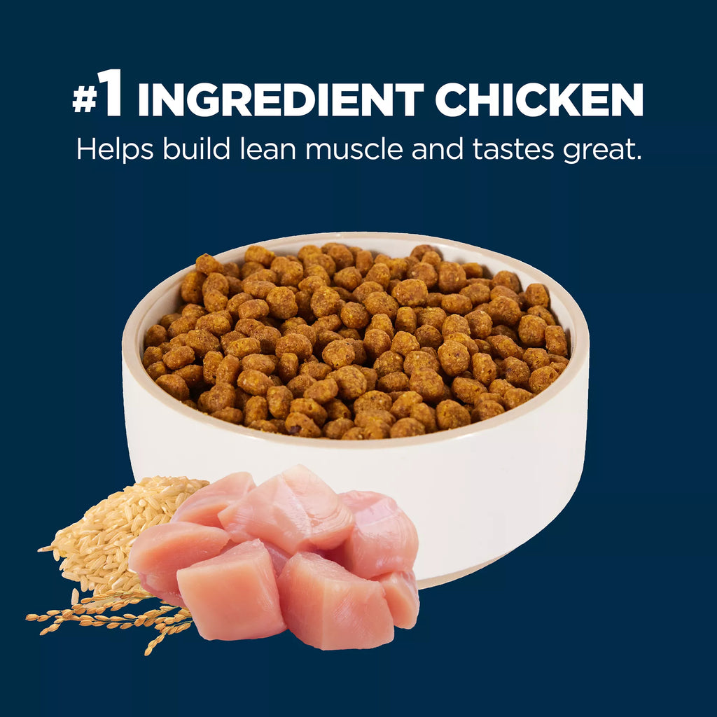 Authority Everyday Health Adult Dry Cat Food - Chicken & Rice, With-Grain