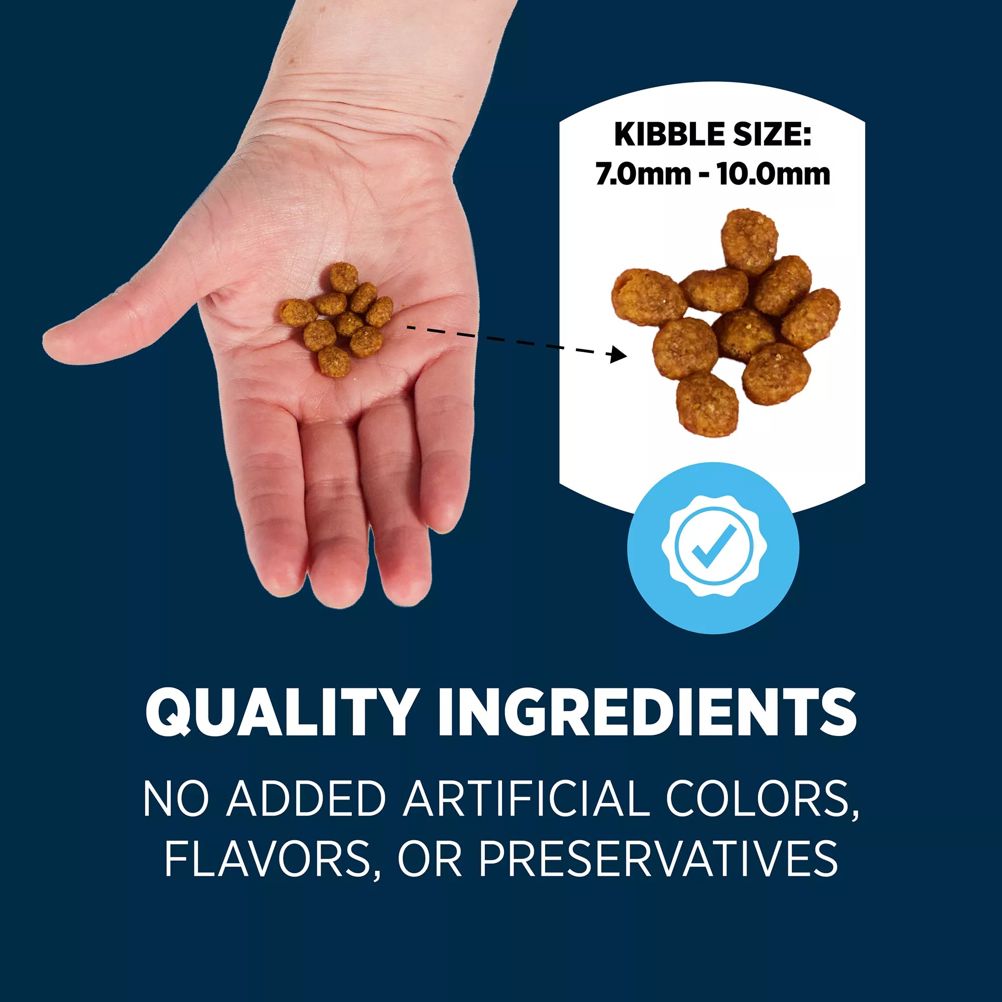 Authority Everyday Health Adult Dry Cat Food - Chicken & Rice, With-Grain