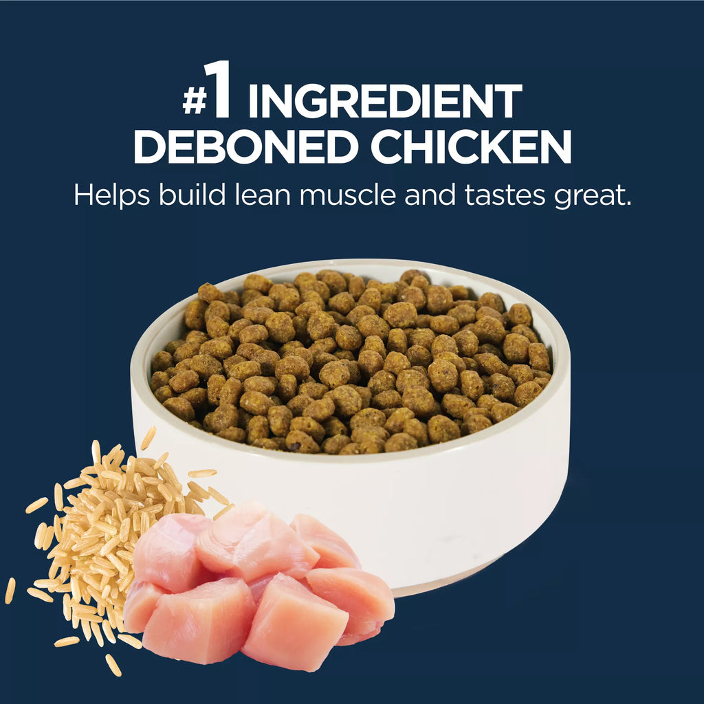 Authority Everyday Health Indoor Cat Dry Food - Chicken & Rice, With-Grain