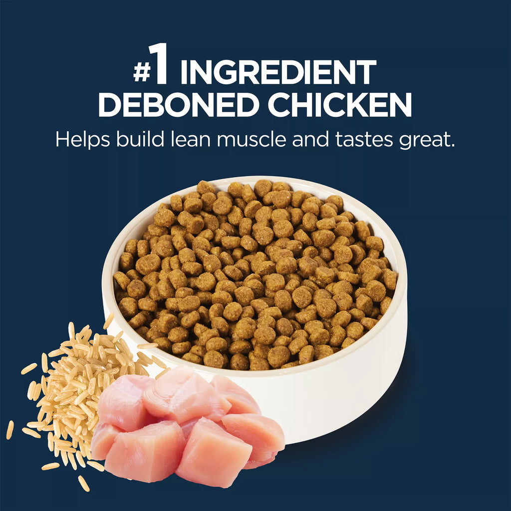 Authority Everyday Health Indoor Kitten Cat Dry Food - Chicken & Rice, With-Grain