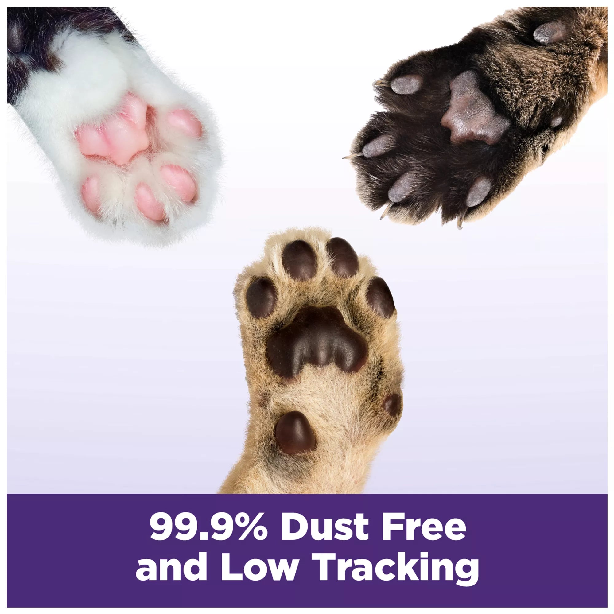 Arm & Hammer Clump & Seal Slide Multi-Cat Clumping Cat Litter - Low Dust Litter