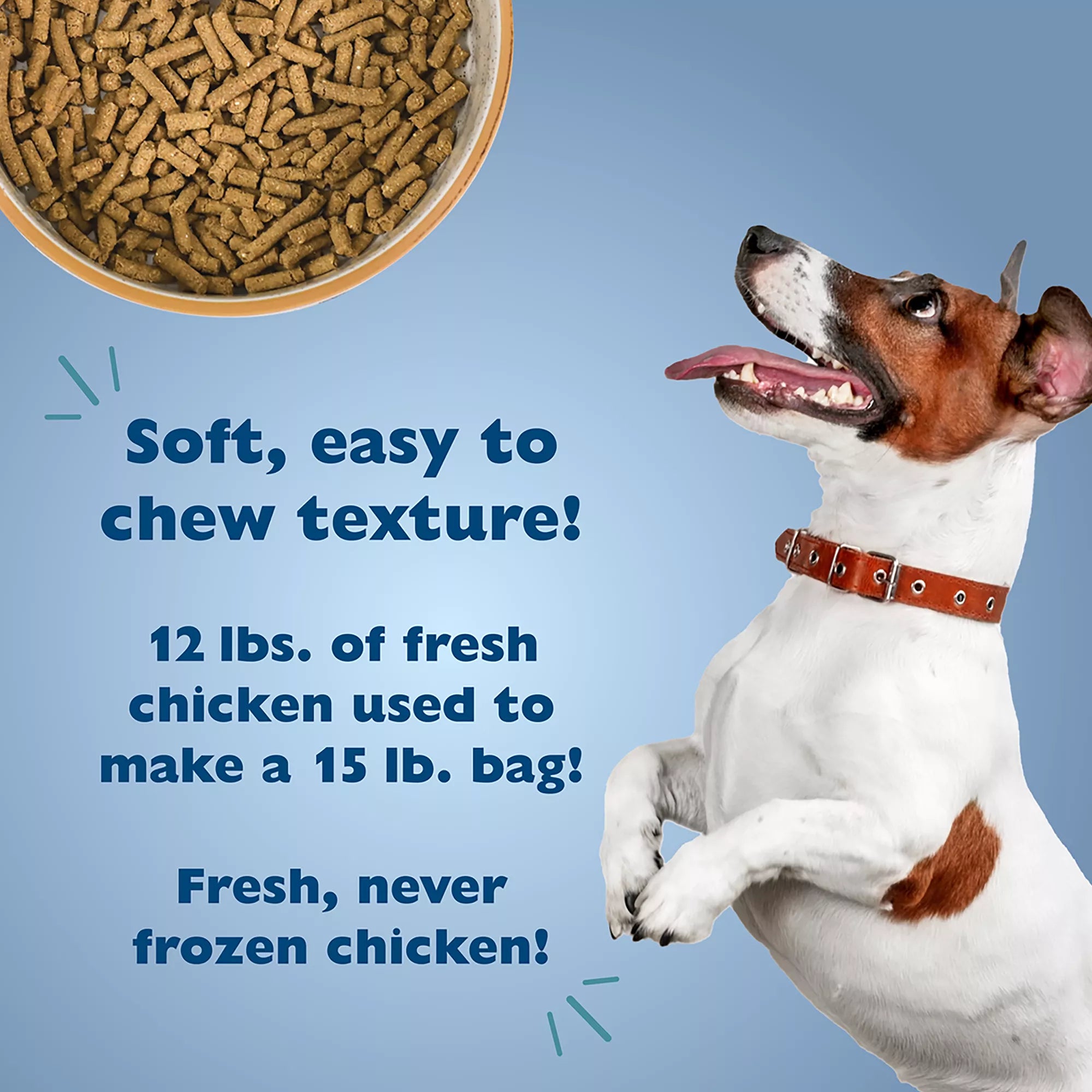 Bill-Jac Picky No More Small Breed Adult Dog Food - Dry - Persnickety Recipe