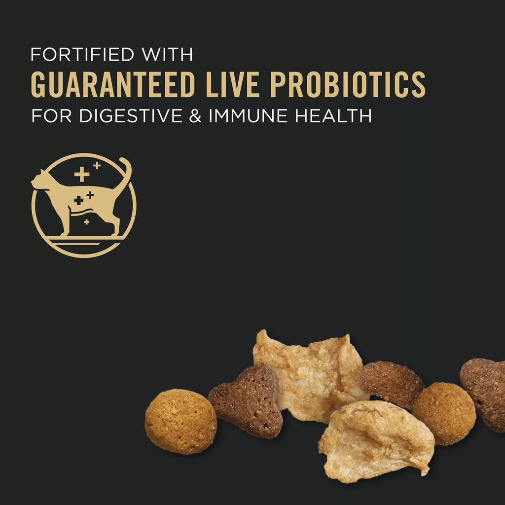 Purina Pro Plan Focus  Kitten Dry Cat Food - With Vitamins, High-Protein Pet Food, Chicken & Rice