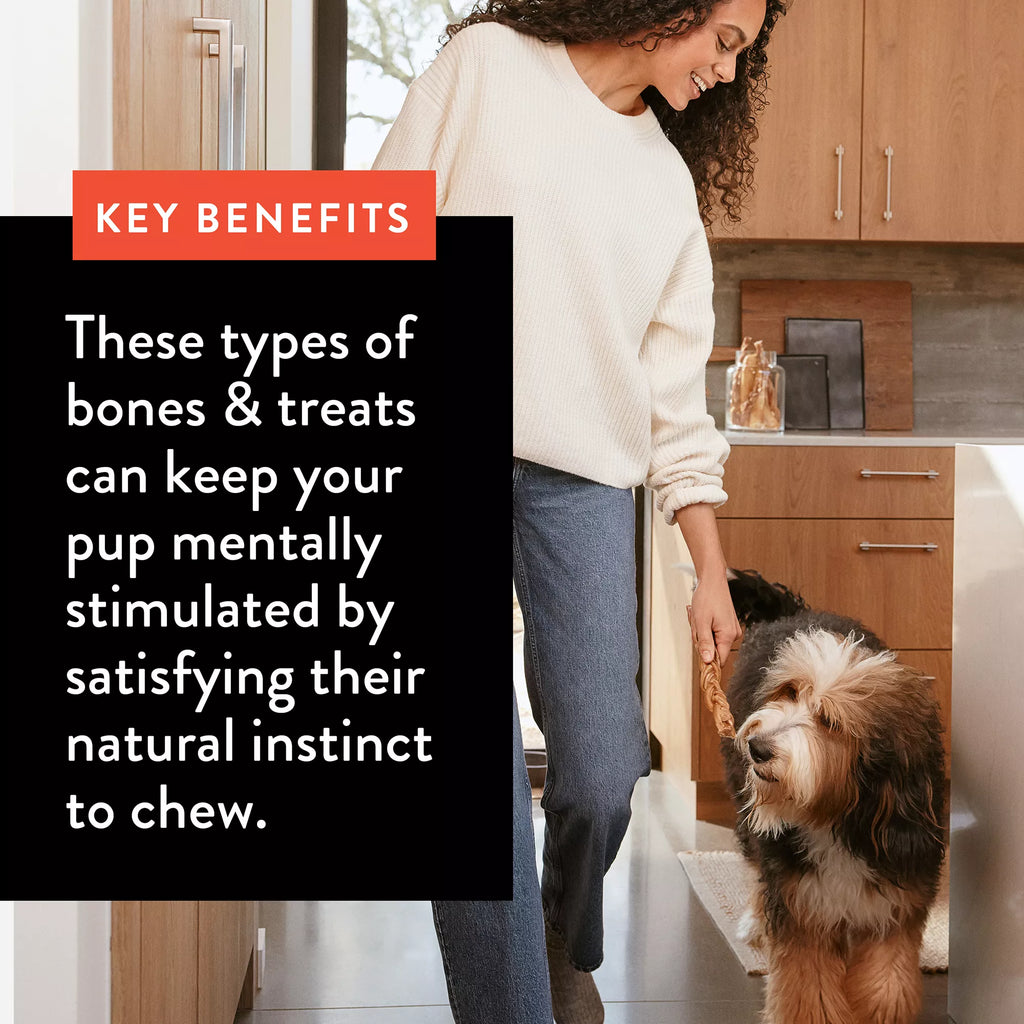 Dentley's Nature's Chews Medium Rib Bone Dog Chew - 1 Count