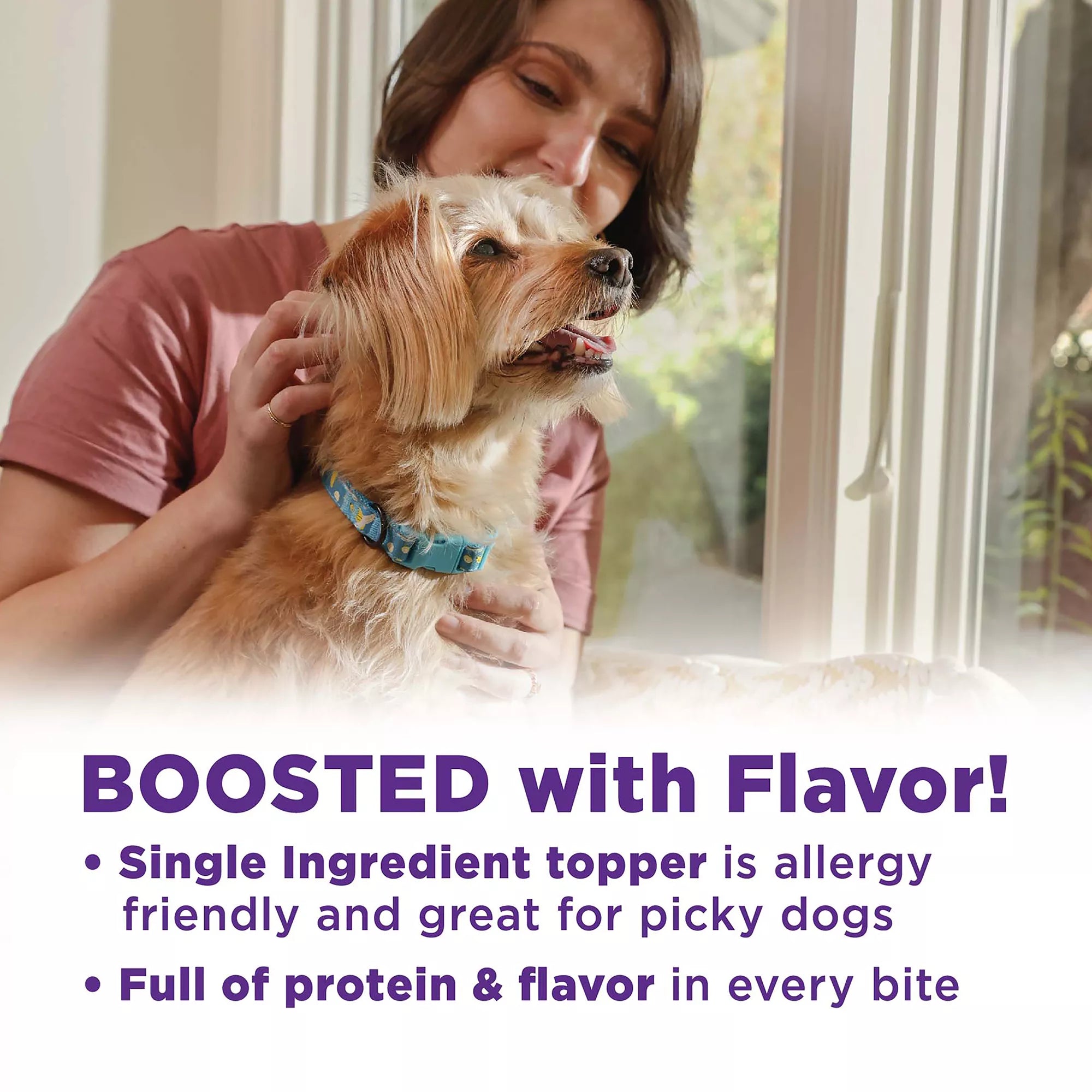 Wellness CORE Bowl Booster All Life Stage Dog Food Topper - Grain-Free Pet Food, Natural Pet Food