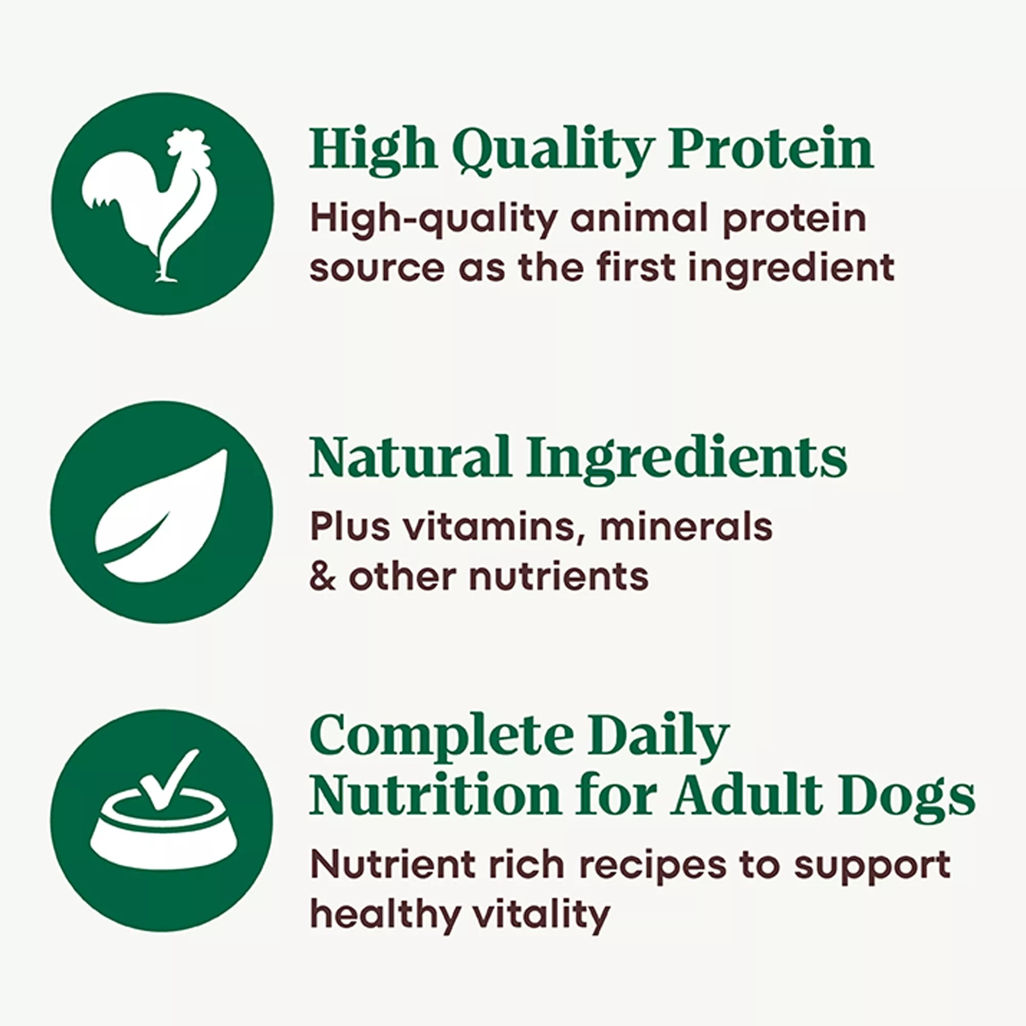 Nutro Natural Pet Food Choice Cuts in Wet Pet Food in Gravy Adult Wet Dog Food - Grain-Free Pet Food, Pet Food Variety Pack, 12 Count