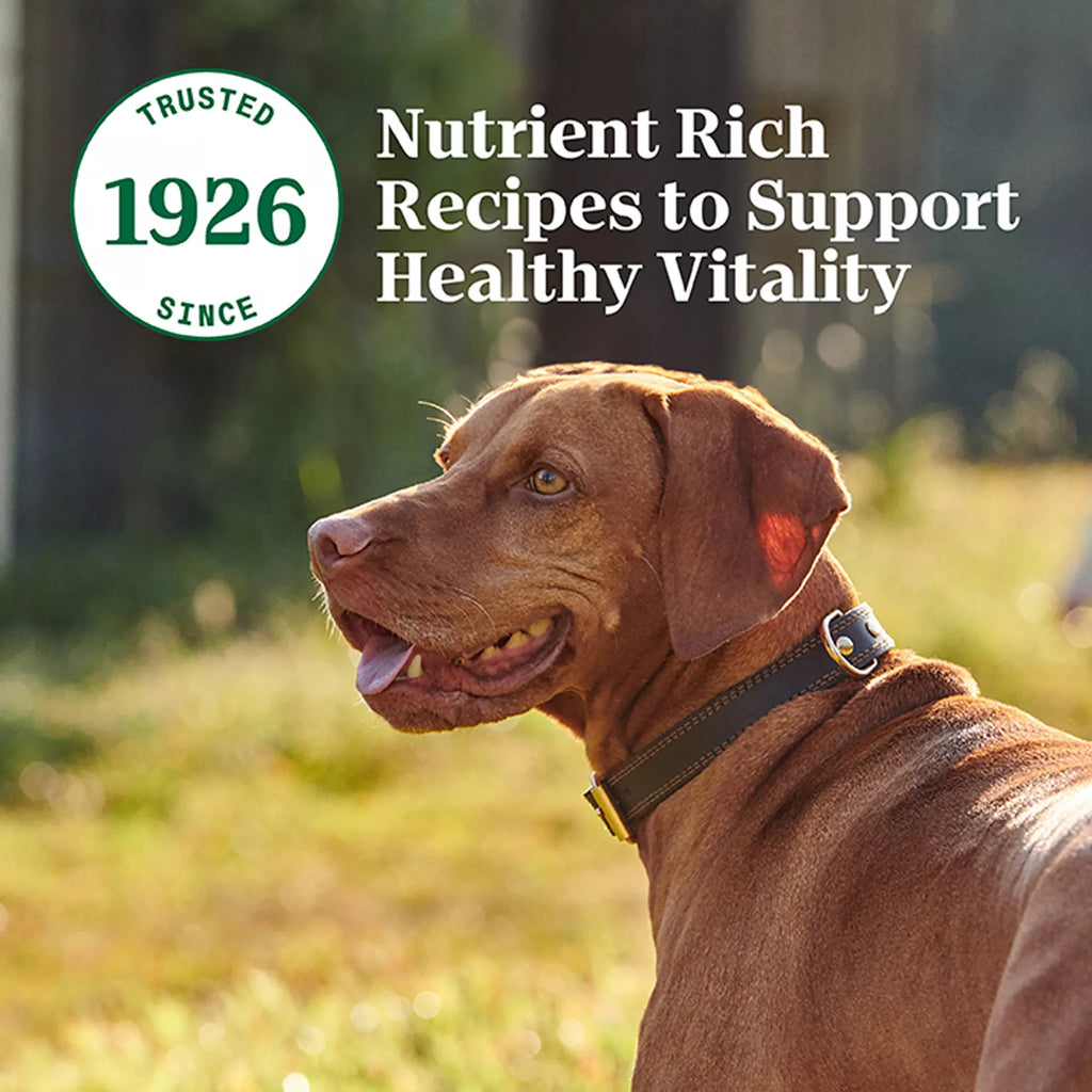 Nutro Natural Pet Food Choice Cuts in Wet Pet Food in Gravy Adult Wet Dog Food - Grain-Free Pet Food, Pet Food Variety Pack, 12 Count