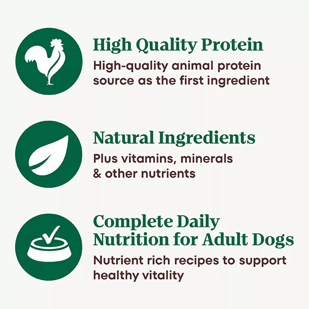Nutro Natural Pet Food Choice Cuts in Wet Pet Food in Gravy Adult Wet Dog Food - Grain-Free Pet Food, Pet Food Variety Pack, 24 Count