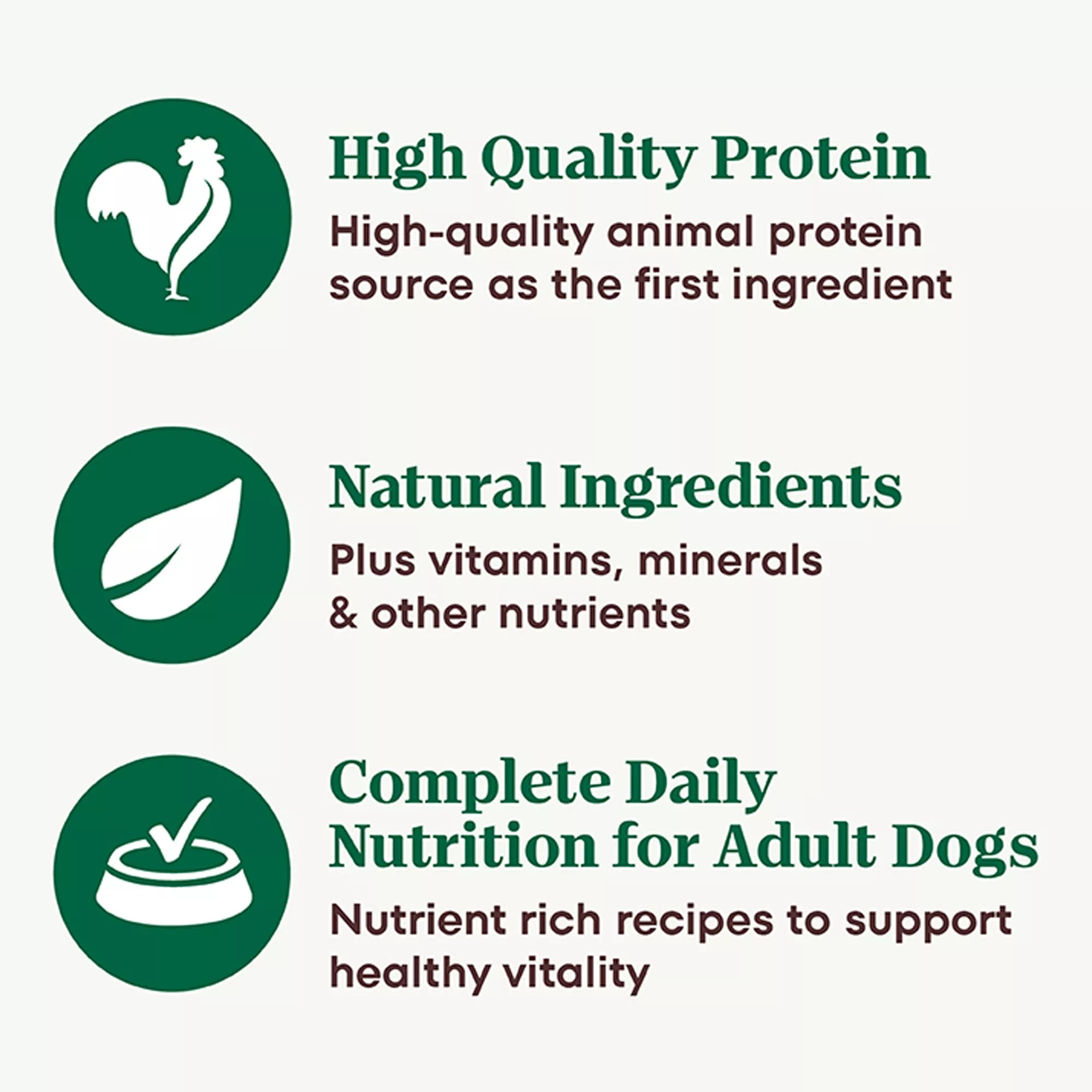 Nutro Natural Pet Food Choice Cuts in Wet Pet Food in Gravy Adult Wet Dog Food - Grain-Free Pet Food, Pet Food Variety Pack, 24 Count