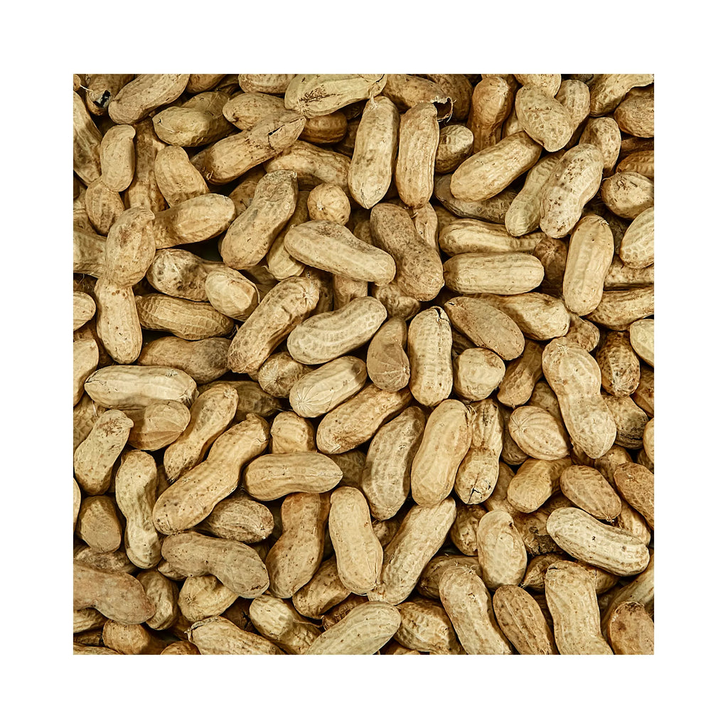 KAYTEE Whole Shell Peanuts Wild Bird & Wildlife Food
