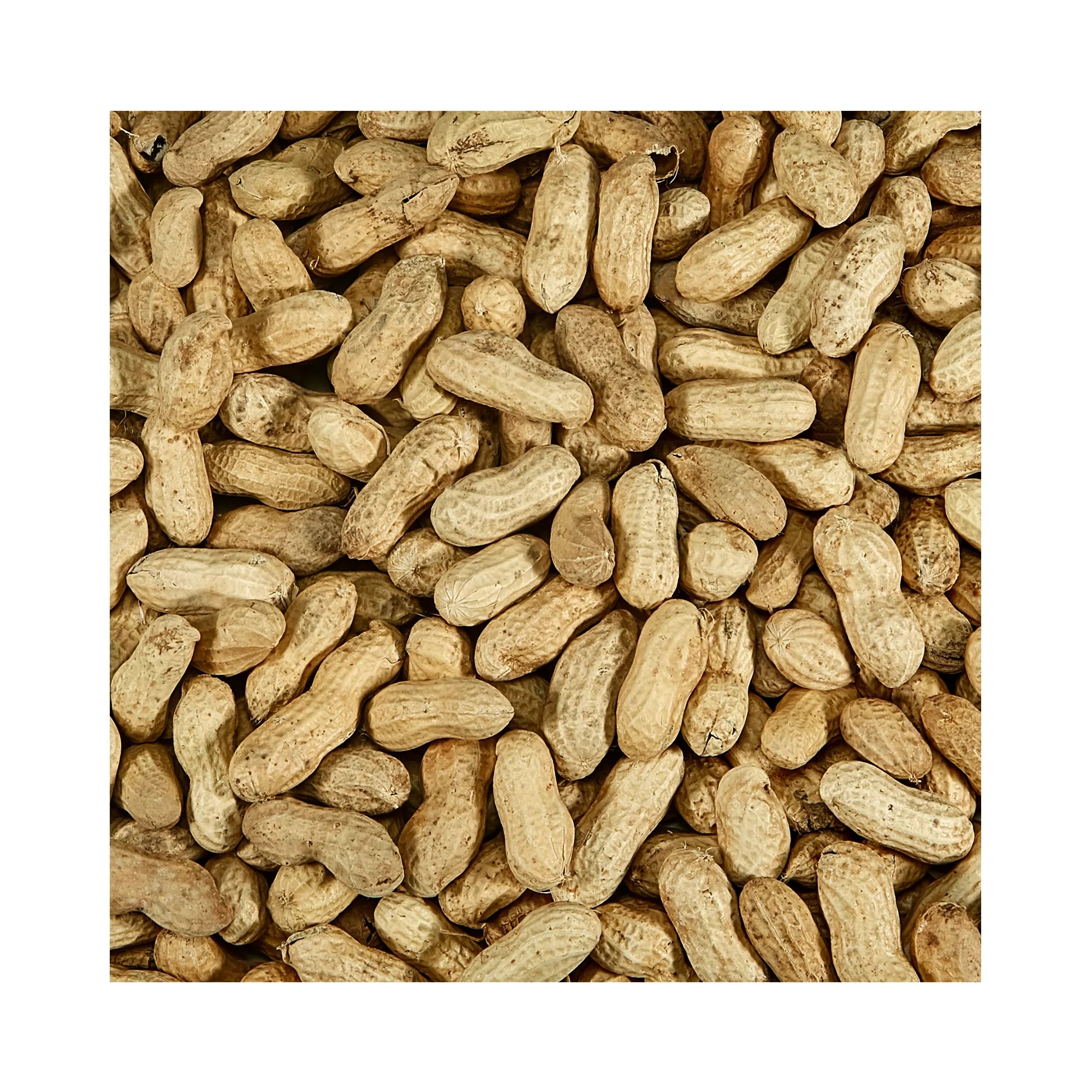 KAYTEE Whole Shell Peanuts Wild Bird & Wildlife Food