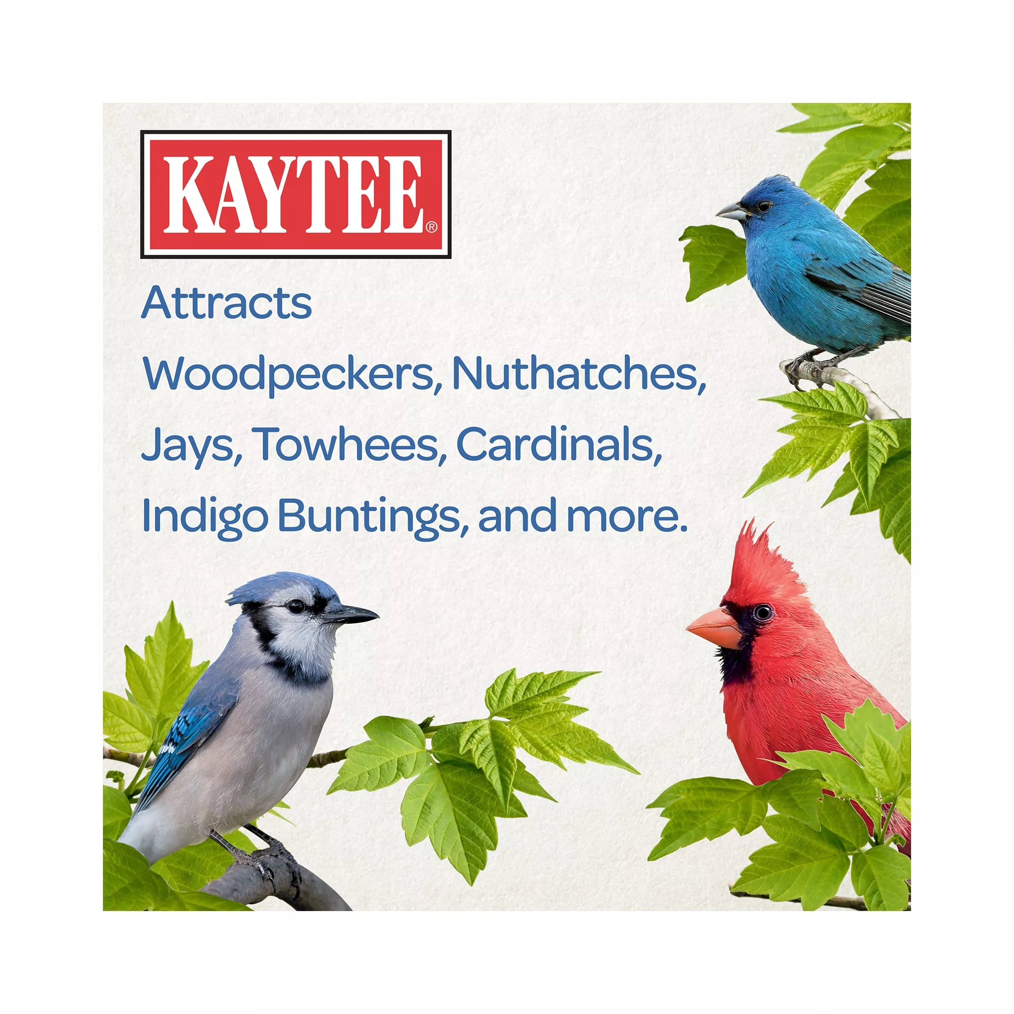 KAYTEE Whole Shell Peanuts Wild Bird & Wildlife Food