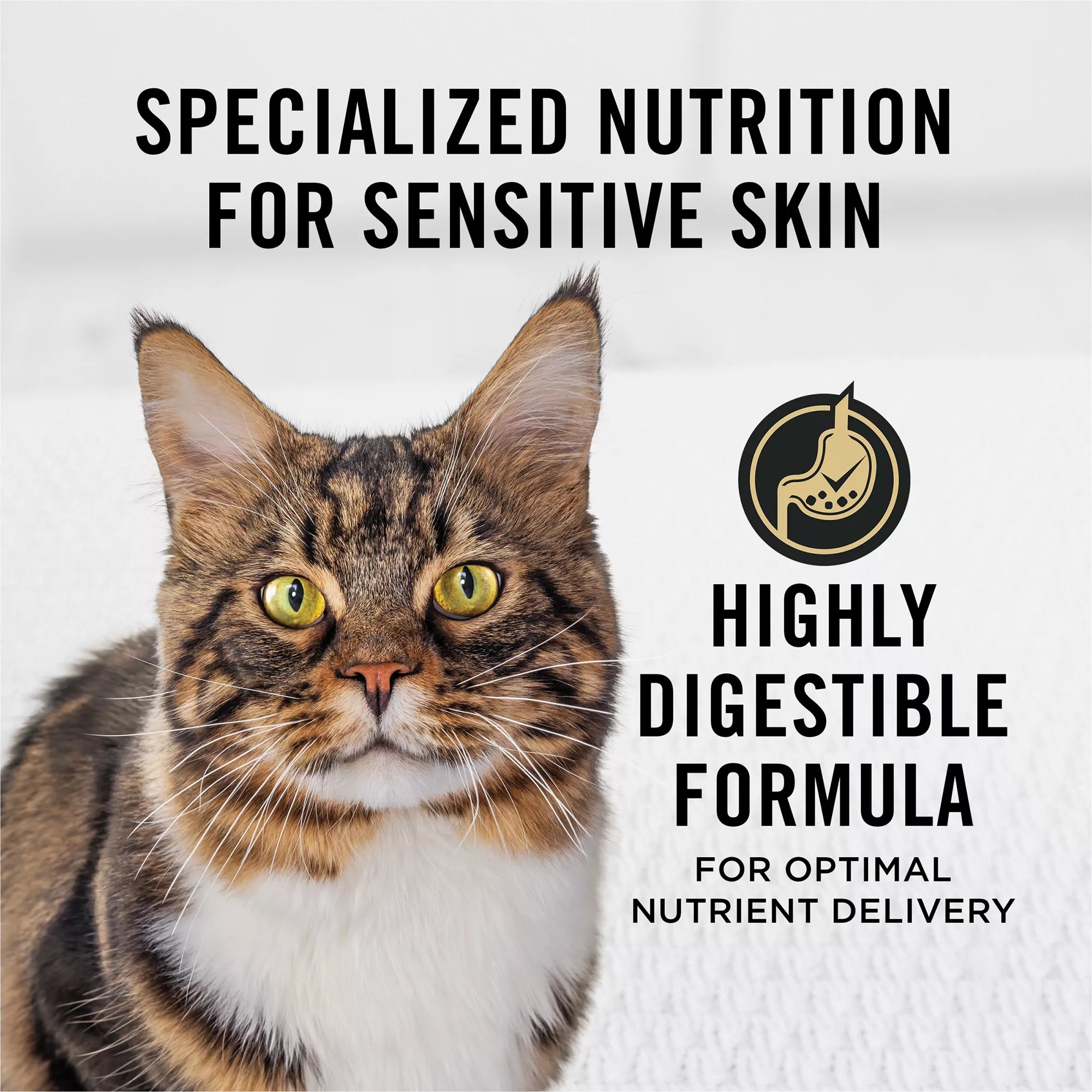 Purina Pro Plan Focus  Adult Dry Cat Food - Prebiotics & Probiotics, Turkey & Oat Meal