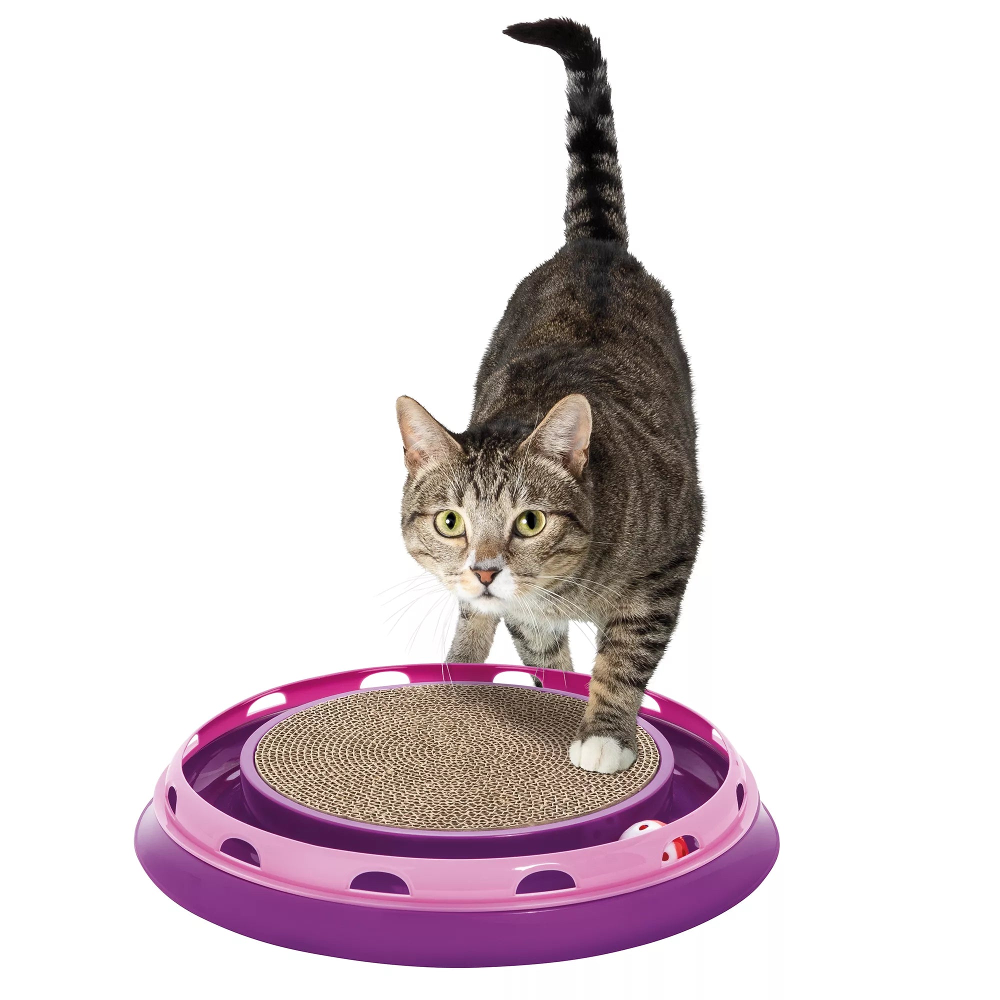 Whisker City Ball Track & Scratcher Cat Toy