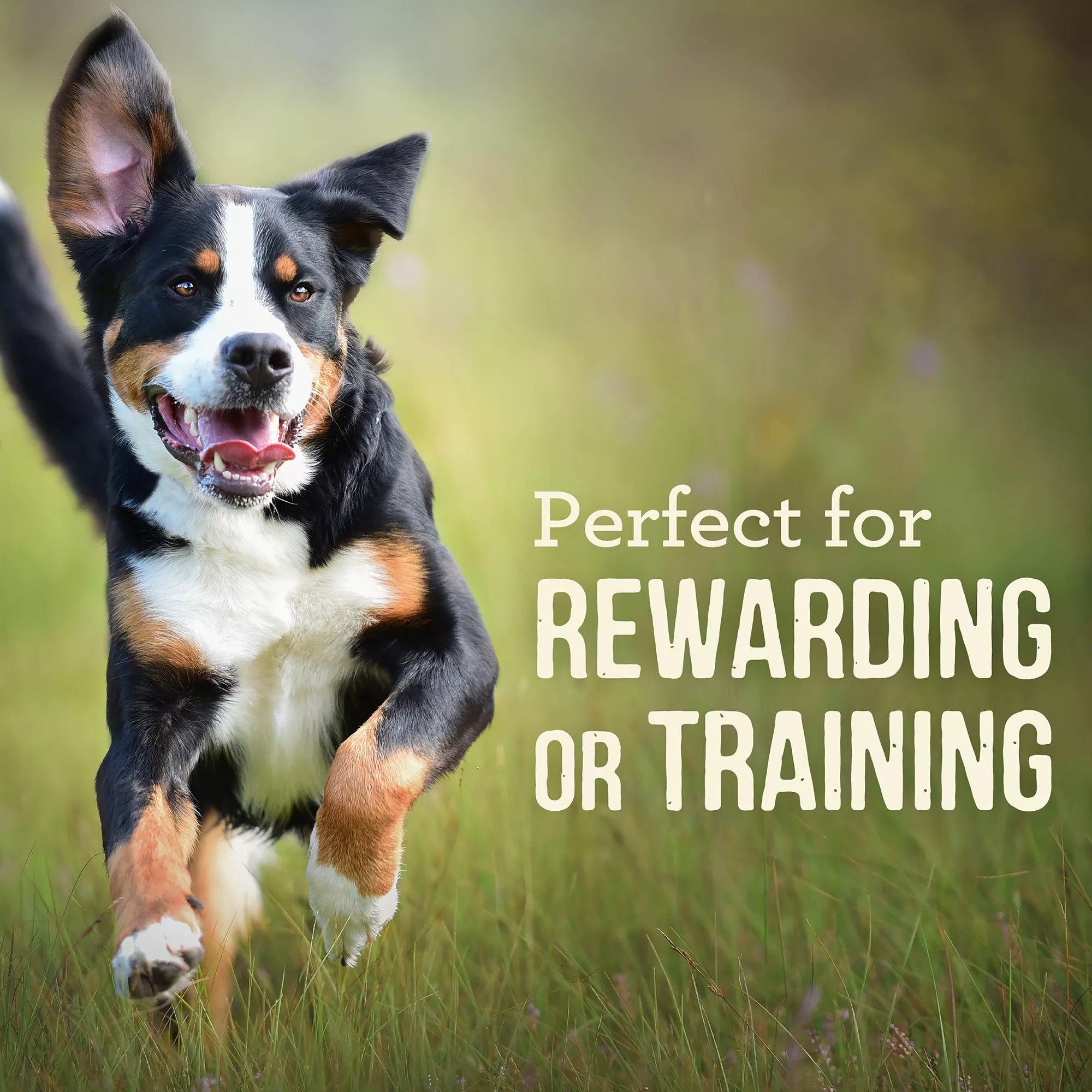 Merrick Power Bites Adult Dog Treats - Rabbit, Corn Free, Gluten Free