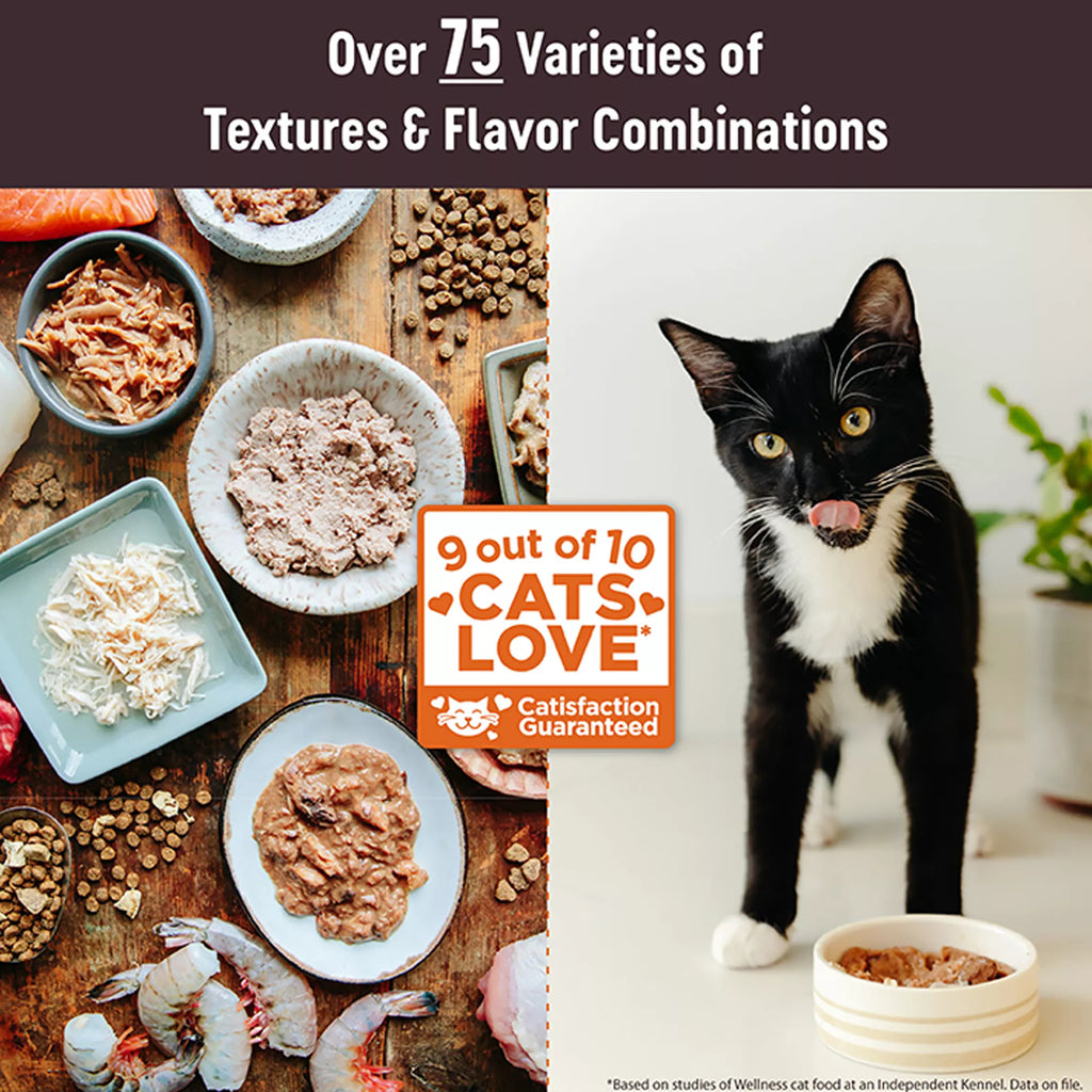 Wellness CORE Tiny Tasters Wet Cat Food - Natural Pet Food, Grain-Free Pet Food, Single Serve