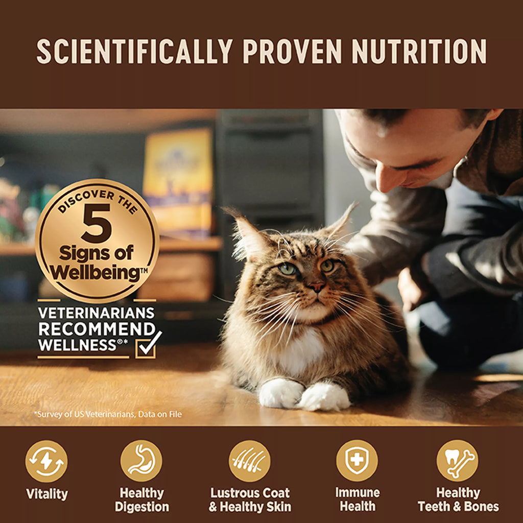 Wellness CORE Tiny Tasters Wet Cat Food - Natural Pet Food, Grain-Free Pet Food, Single Serve