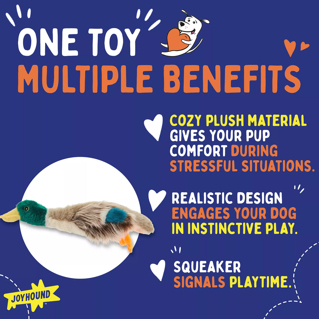 Joyhound Crazy Comfy Realistic Duck Dog Toy - Plush, Squeaker