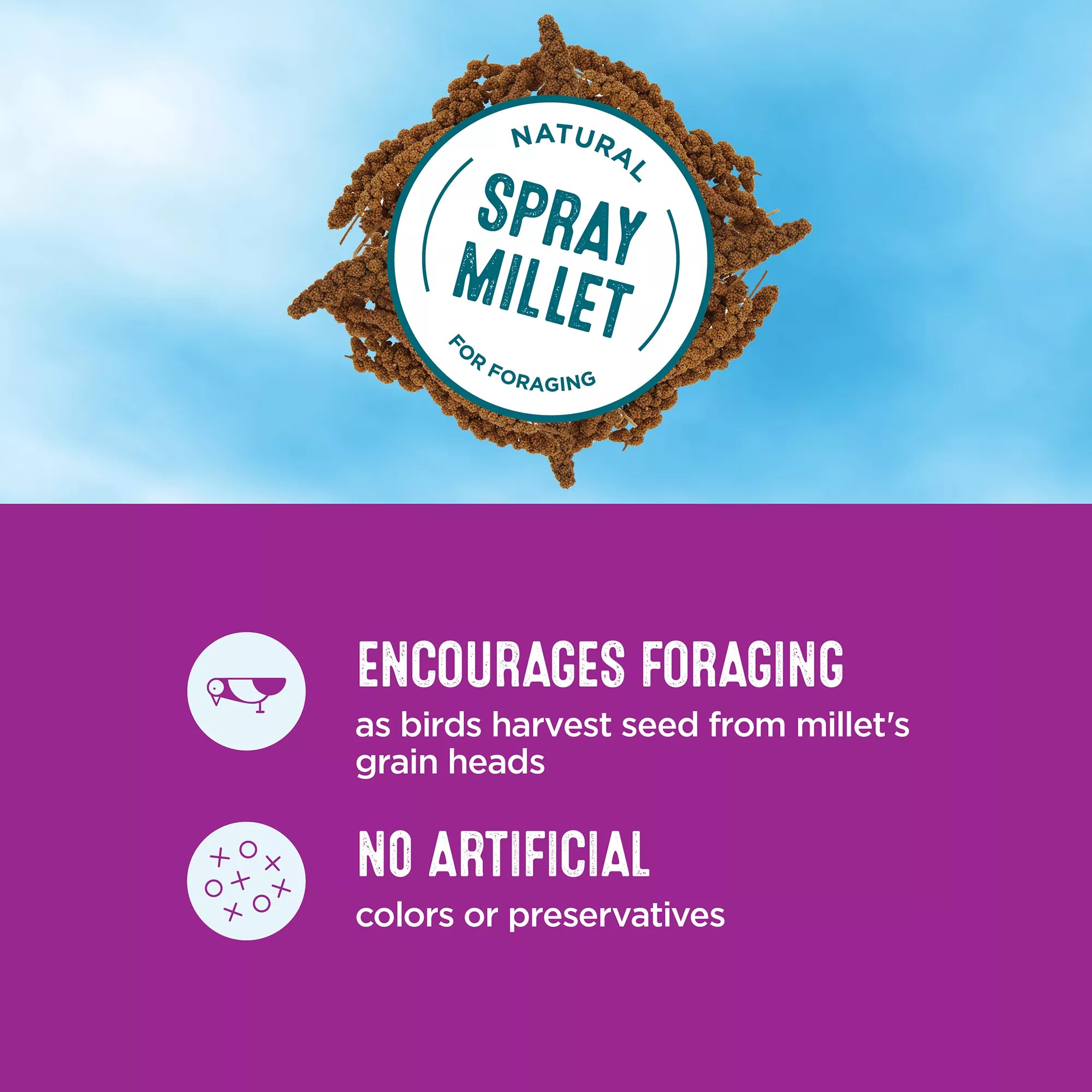 All Living Things Spray Millet Bird Treat