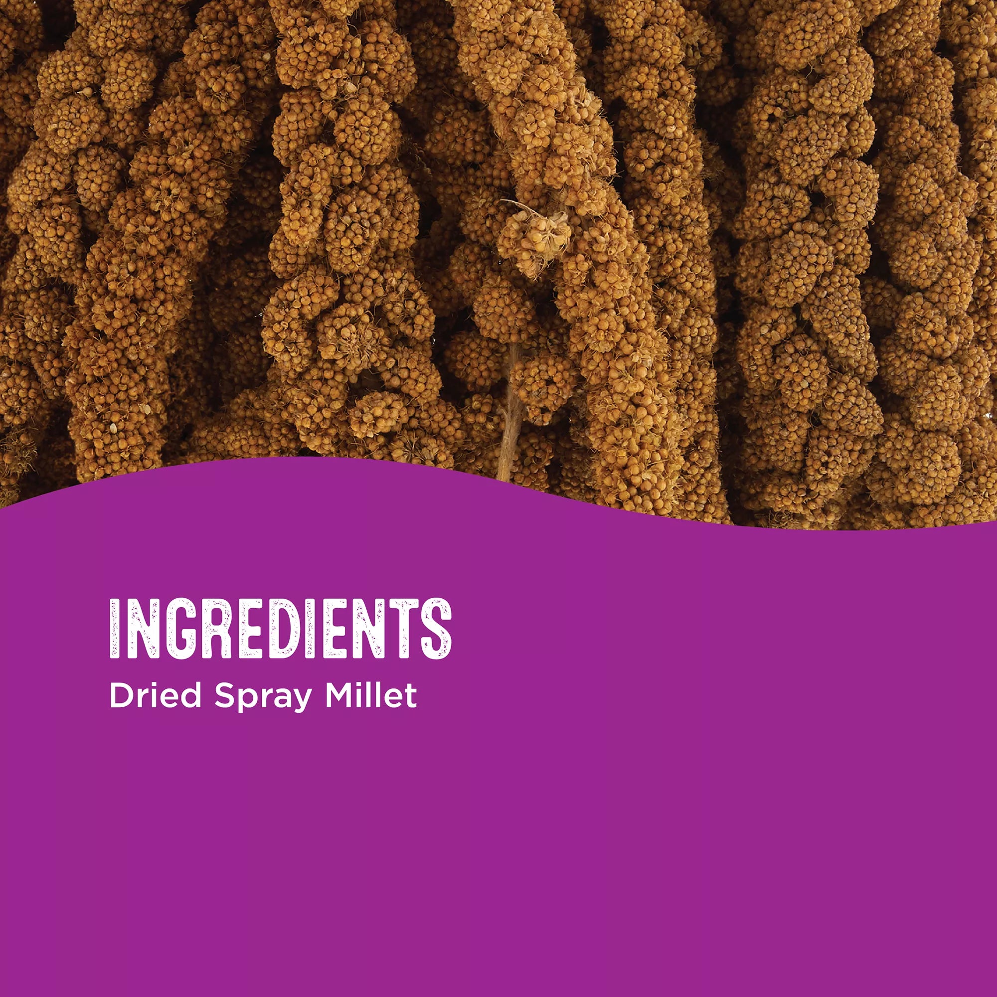 All Living Things Spray Millet Bird Treat
