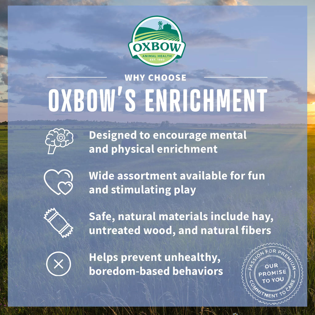Oxbow Enriched Life Play Wall Small Pet Chew
