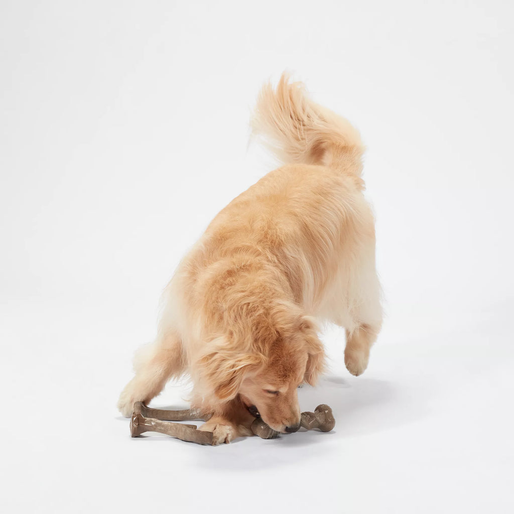 Joyhound Boss Bones Dog Chew Toys - 3 Pack