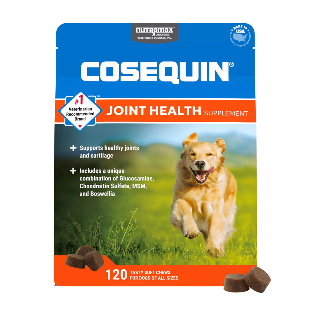 Nutramax Cosequin DS Joint Health Supplement for Dogs - Soft Chews with MSM & Boswellia