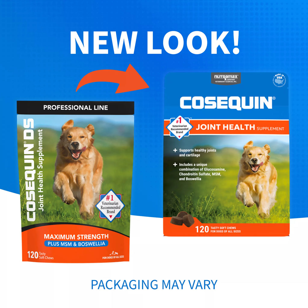 Nutramax Cosequin DS Joint Health Supplement for Dogs - Soft Chews with MSM & Boswellia