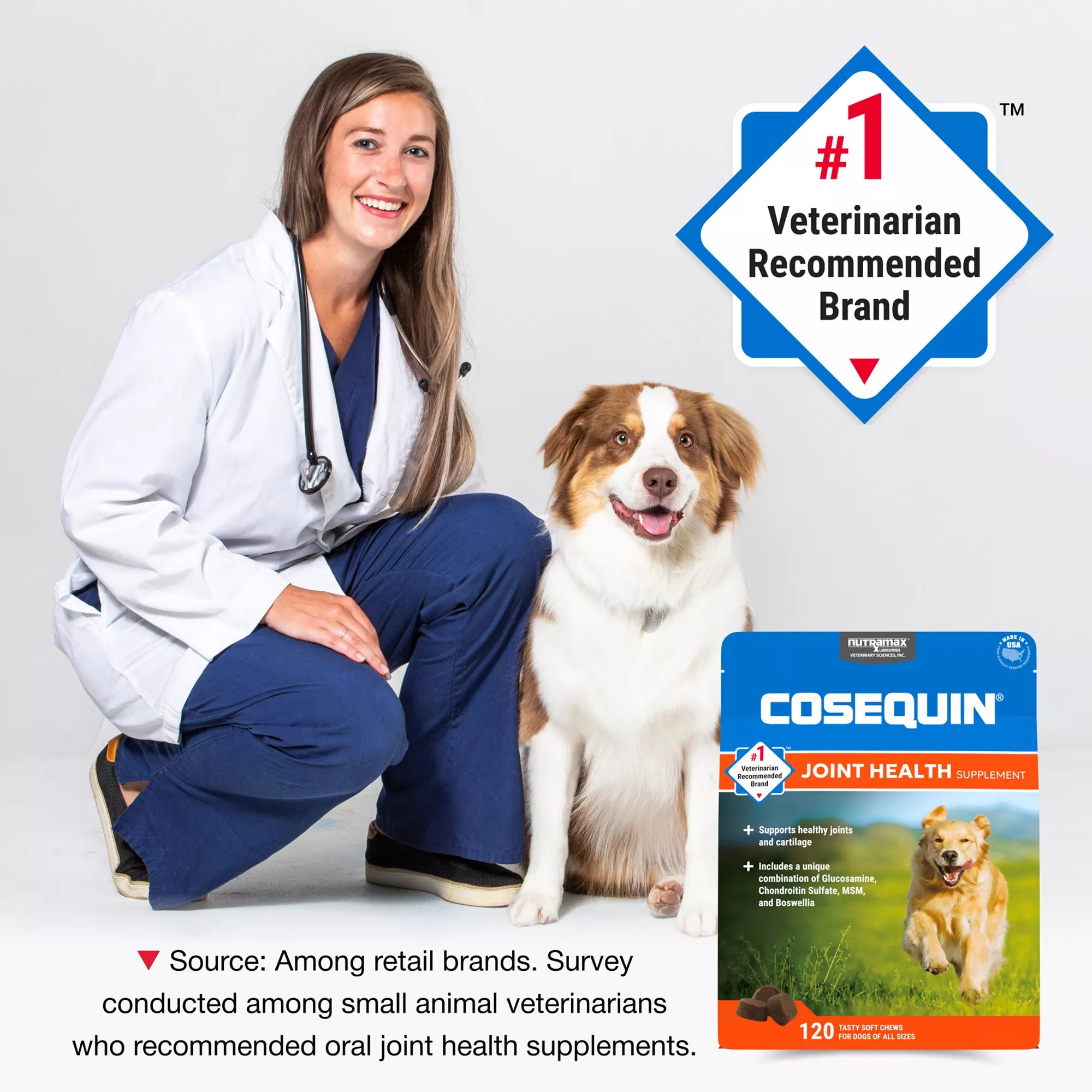 Nutramax Cosequin DS Joint Health Supplement for Dogs - Soft Chews with MSM & Boswellia