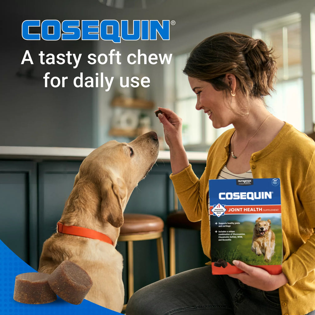 Nutramax Cosequin DS Joint Health Supplement for Dogs - Soft Chews with MSM & Boswellia