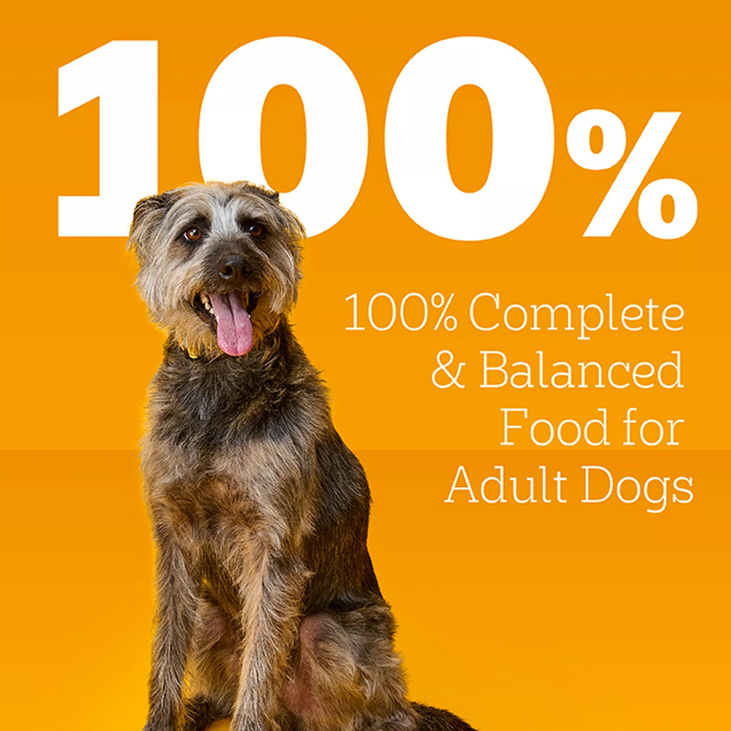 Pedigree High Protein Adult Wet Dog Food - 12 Count, Pet Food Variety Pack