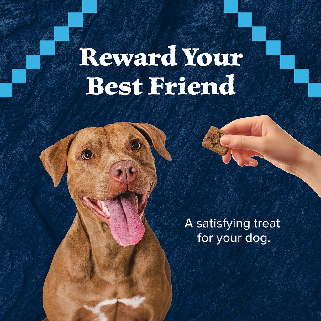 Blue Buffalo Wilderness All Life Stages Dog Treats - Natural Pet Food, Turkey