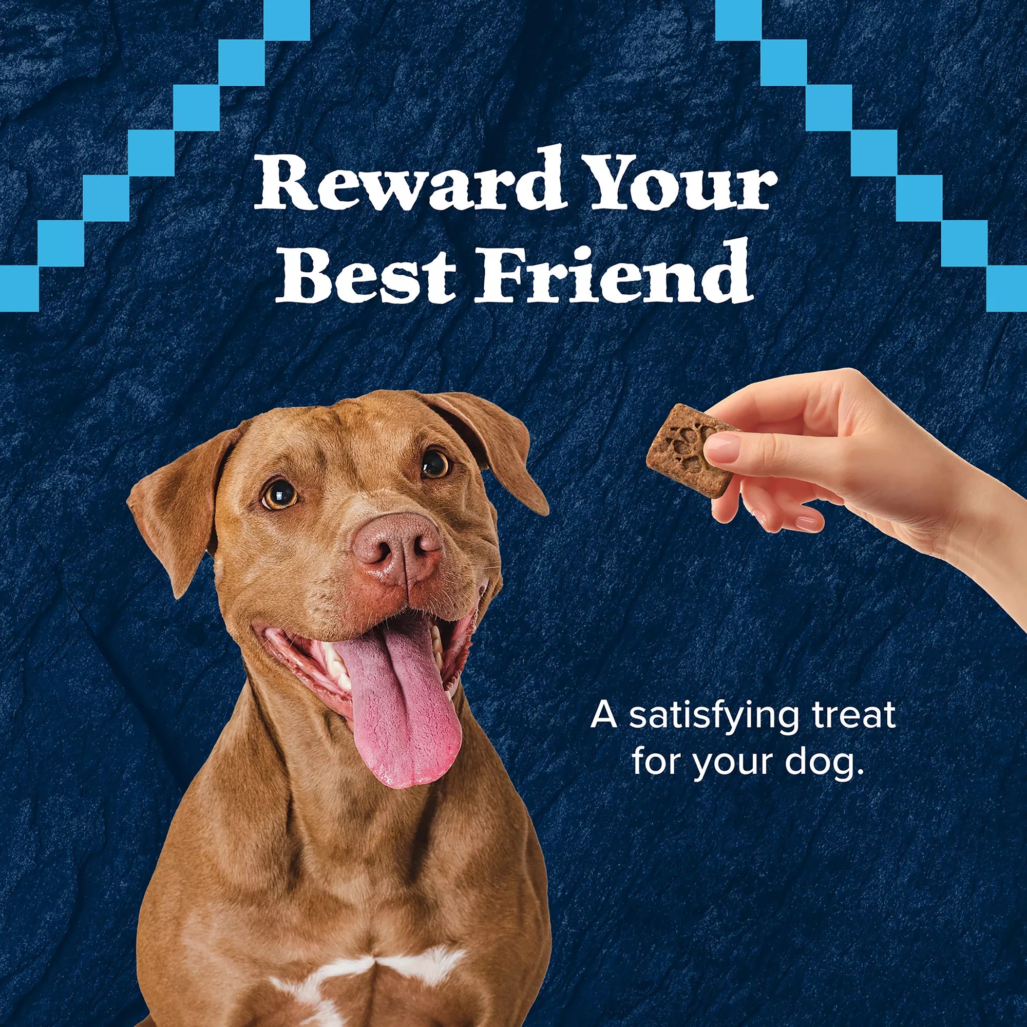 Blue Buffalo Wilderness All Life Stages Dog Treats - Natural Pet Food, Turkey
