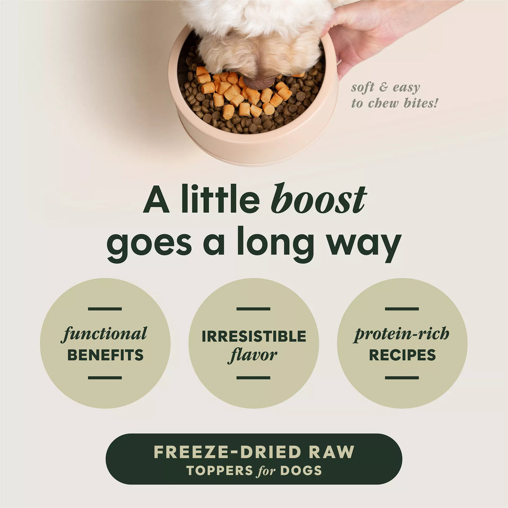 Instinct Raw Boost Mixers Gut Health All Life Stages Dog Food Topper - Grain-Free Pet Food, Freeze-Dried