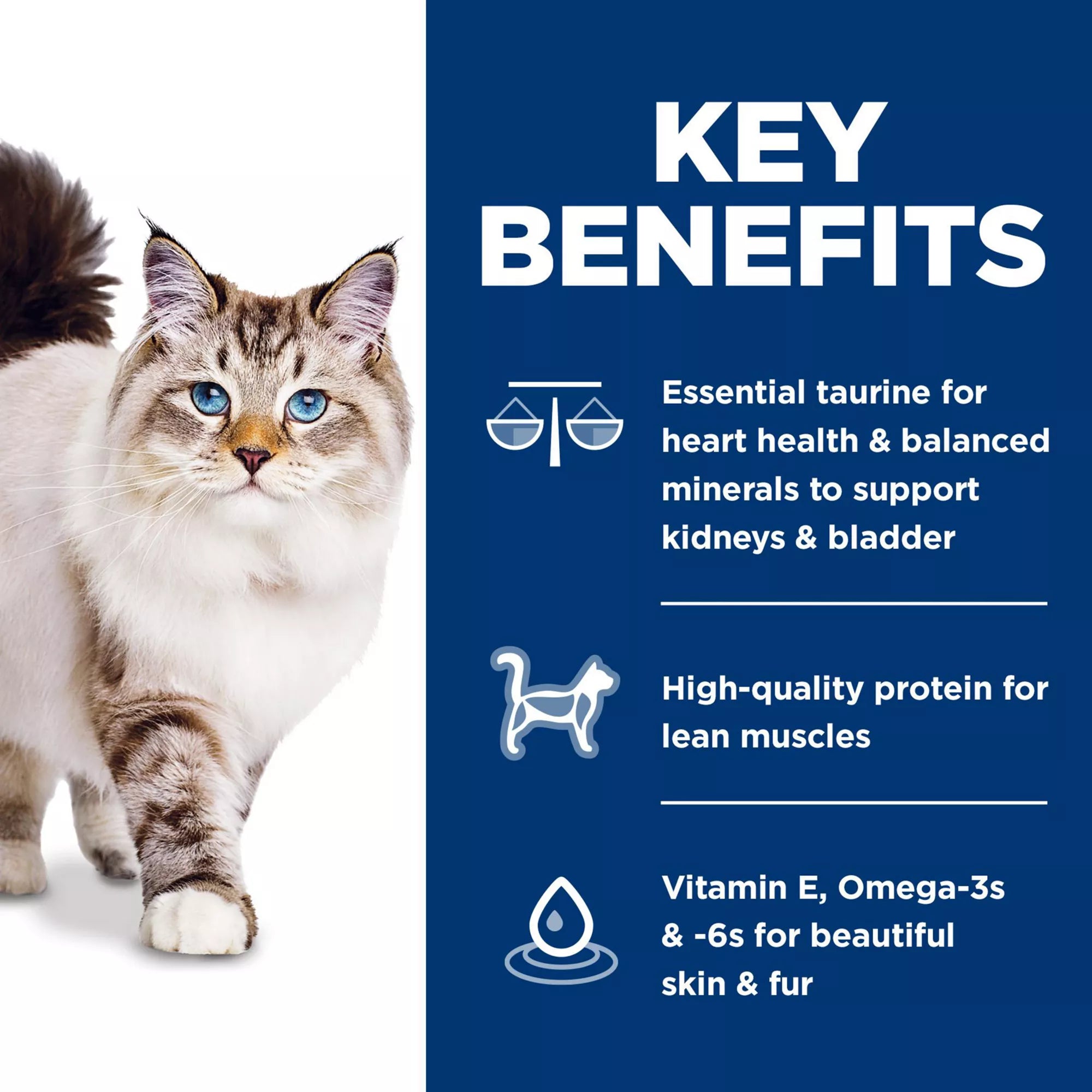 Hill's Science Diet No Corn, No Wheat, No Soy Adult Dry Cat Food - Chicken
