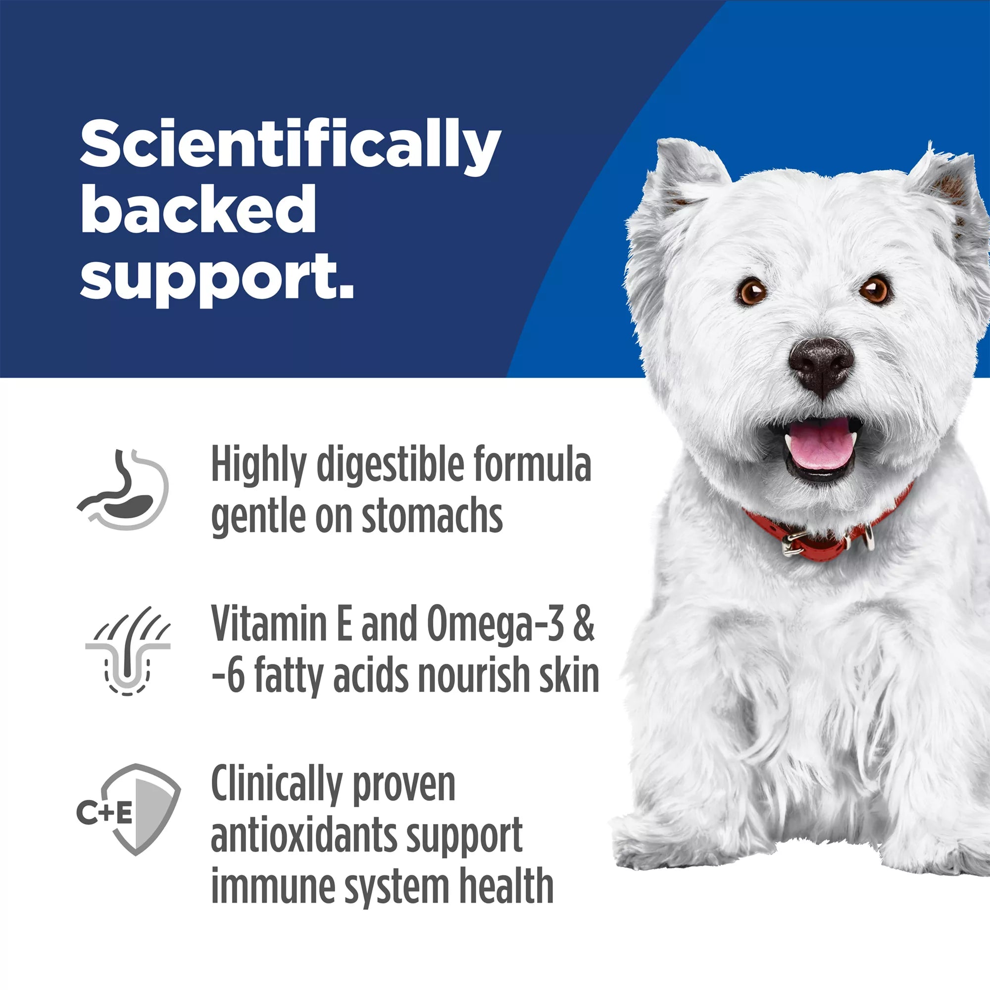 Hill's Science Diet Sensitive Skin & Stomach Food Small Bites Adult Dog Dry Food - Chicken & Barley