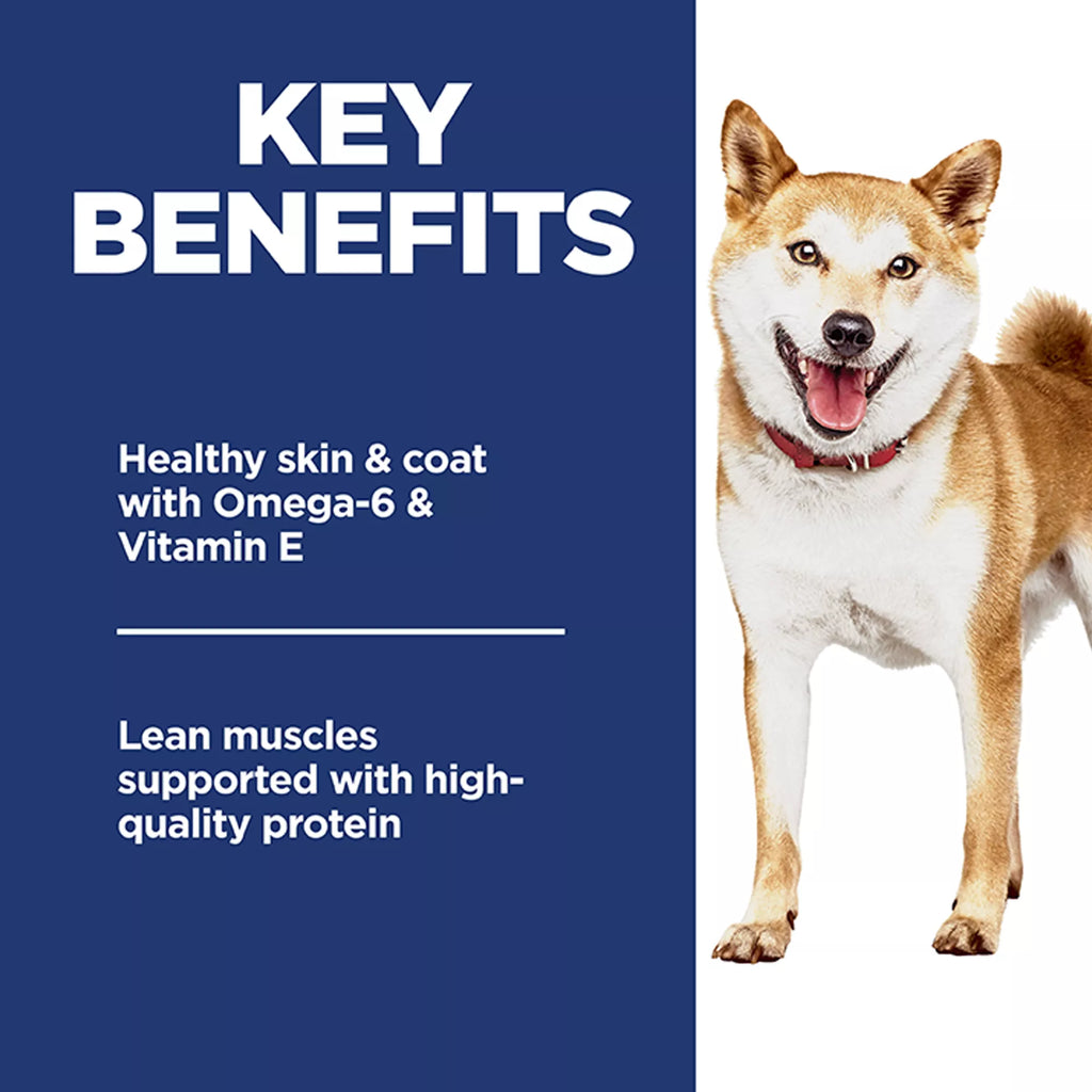 Hill's Science Diet No Corn, Wheat or Soy Adult Dog Food - Dry - Chicken & Brown Rice