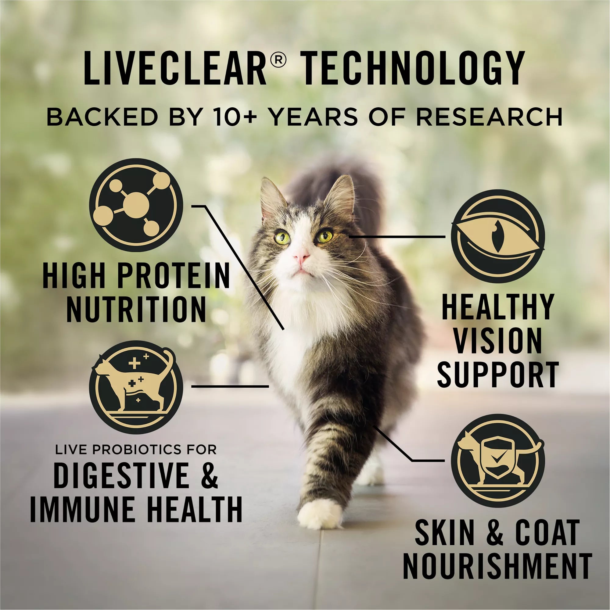 Purina Pro Plan LiveClear Adult Dry Cat Food - Prebiotics & Probiotics, Salmon & Rice