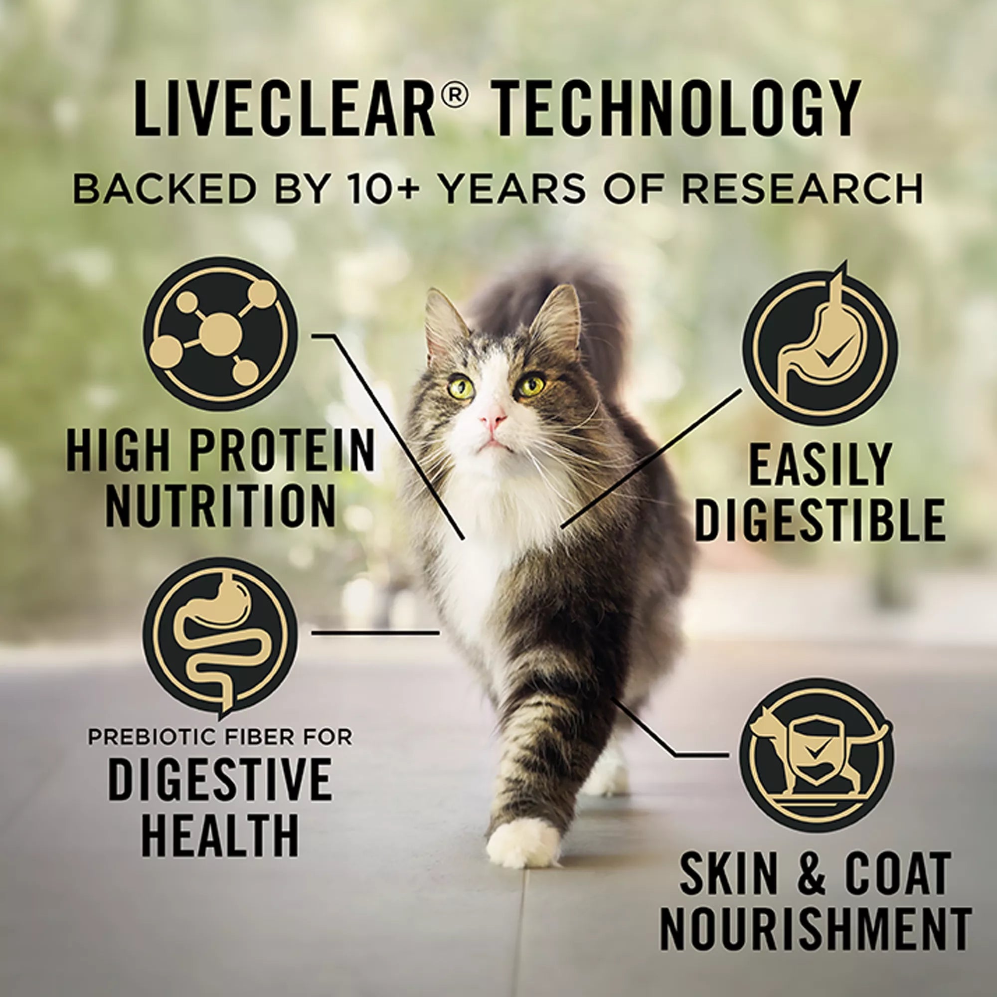 Purina Pro Plan LiveClear Adult Dry Cat Food - Prebiotics & Probiotics,