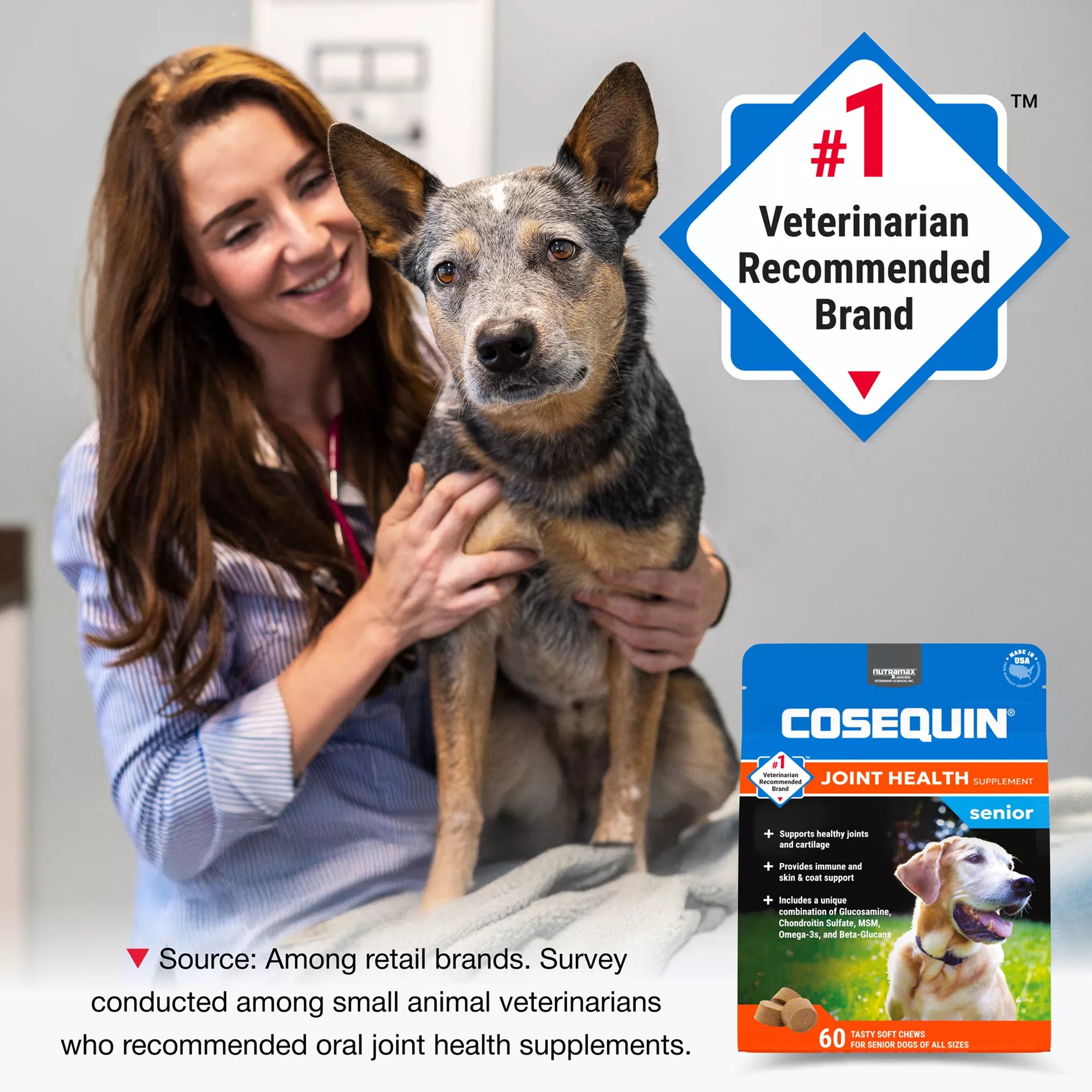 Nutramax Cosequin Joint Health Supplement for Senior Dogs - Maximum Strength Soft Chews - 60 Count