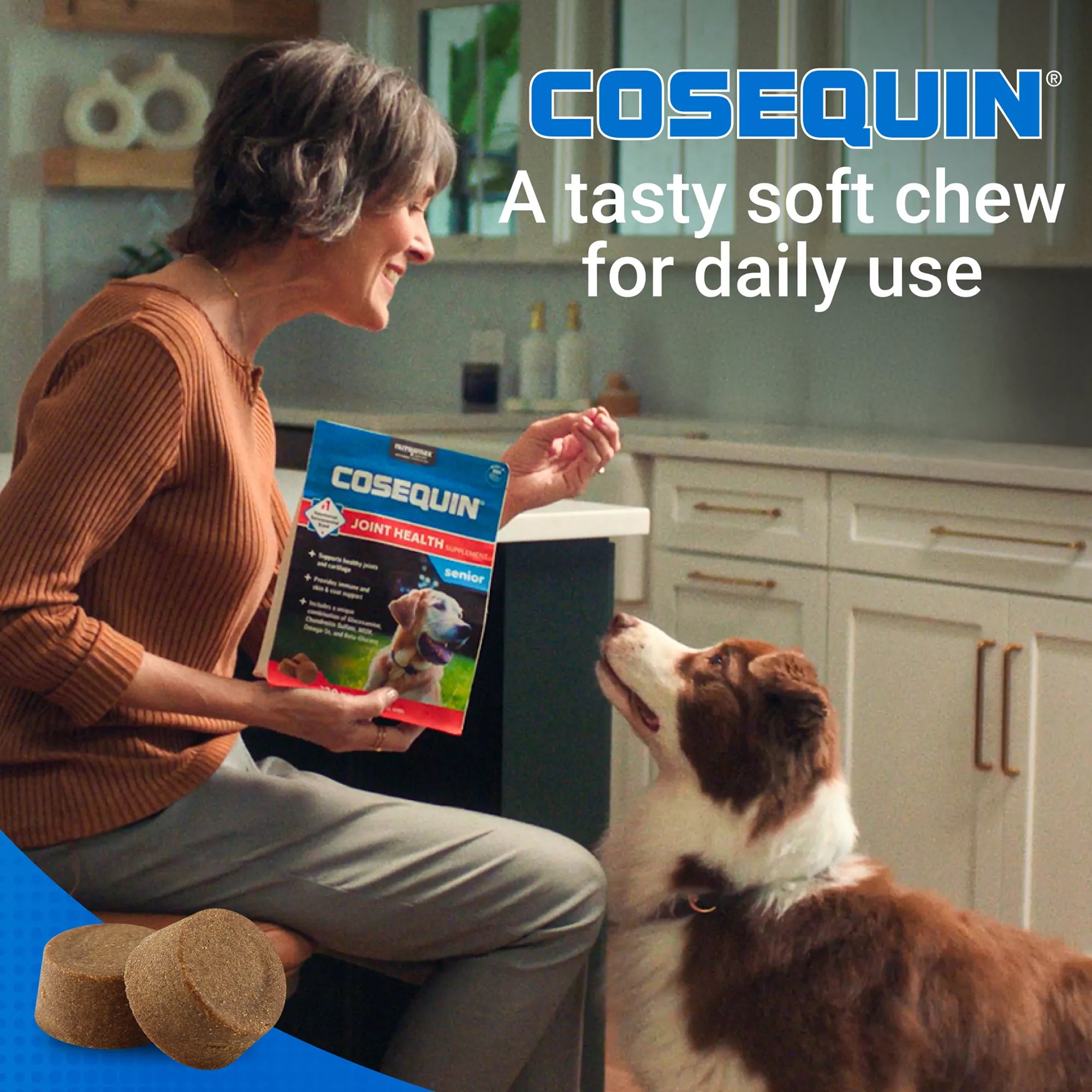 Nutramax Cosequin Joint Health Supplement for Senior Dogs - Maximum Strength Soft Chews - 60 Count