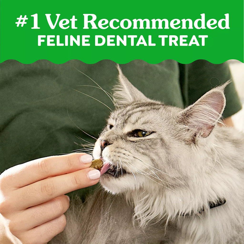 Greenies Feline Greenies Adult Cat Dental Treats - Dental Care, Natural Pet Food, Tuna