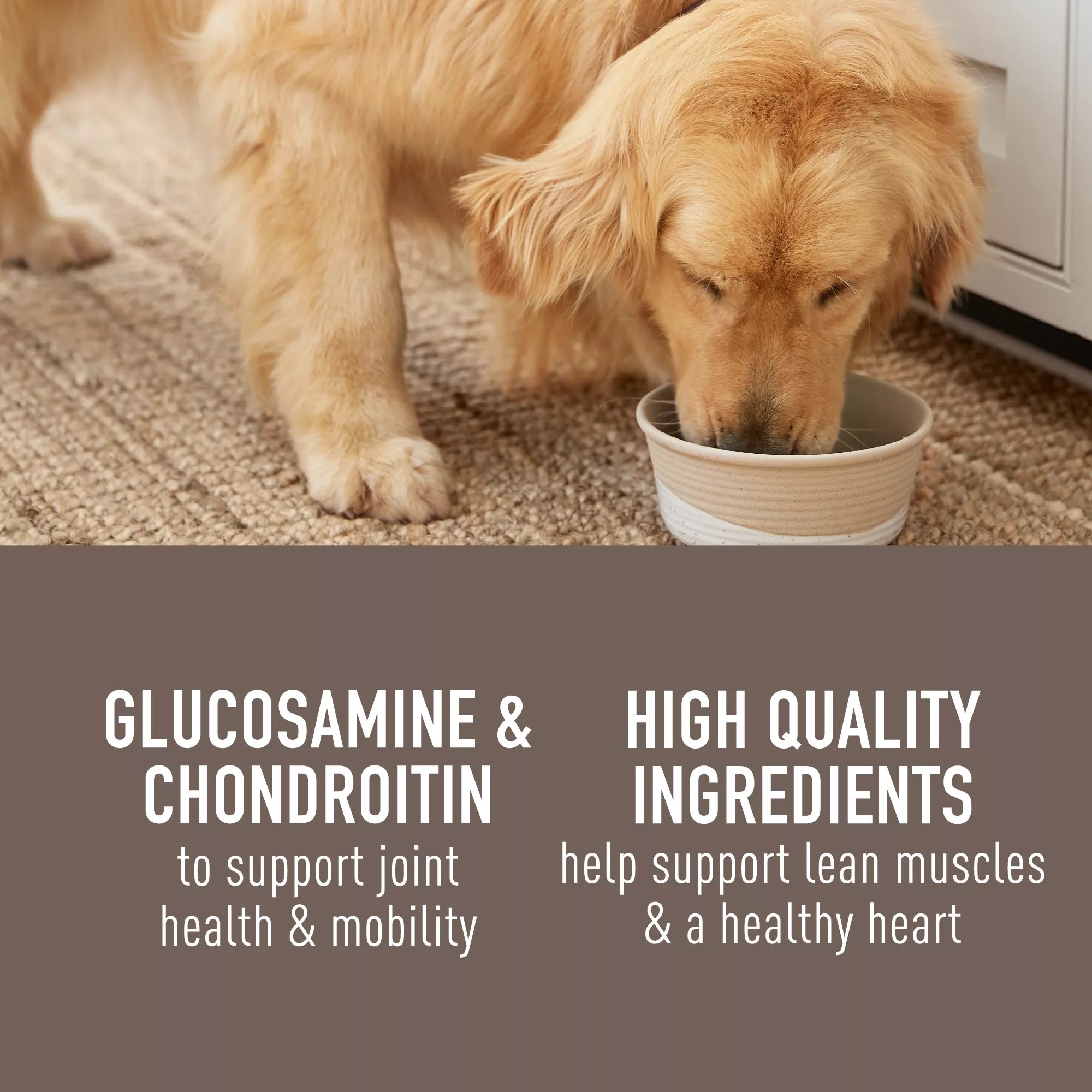 Simply Nourish Natural Pet Food Solutions Hip & Joint All Life Stage Dog Meal Topper - 3 Oz.,
