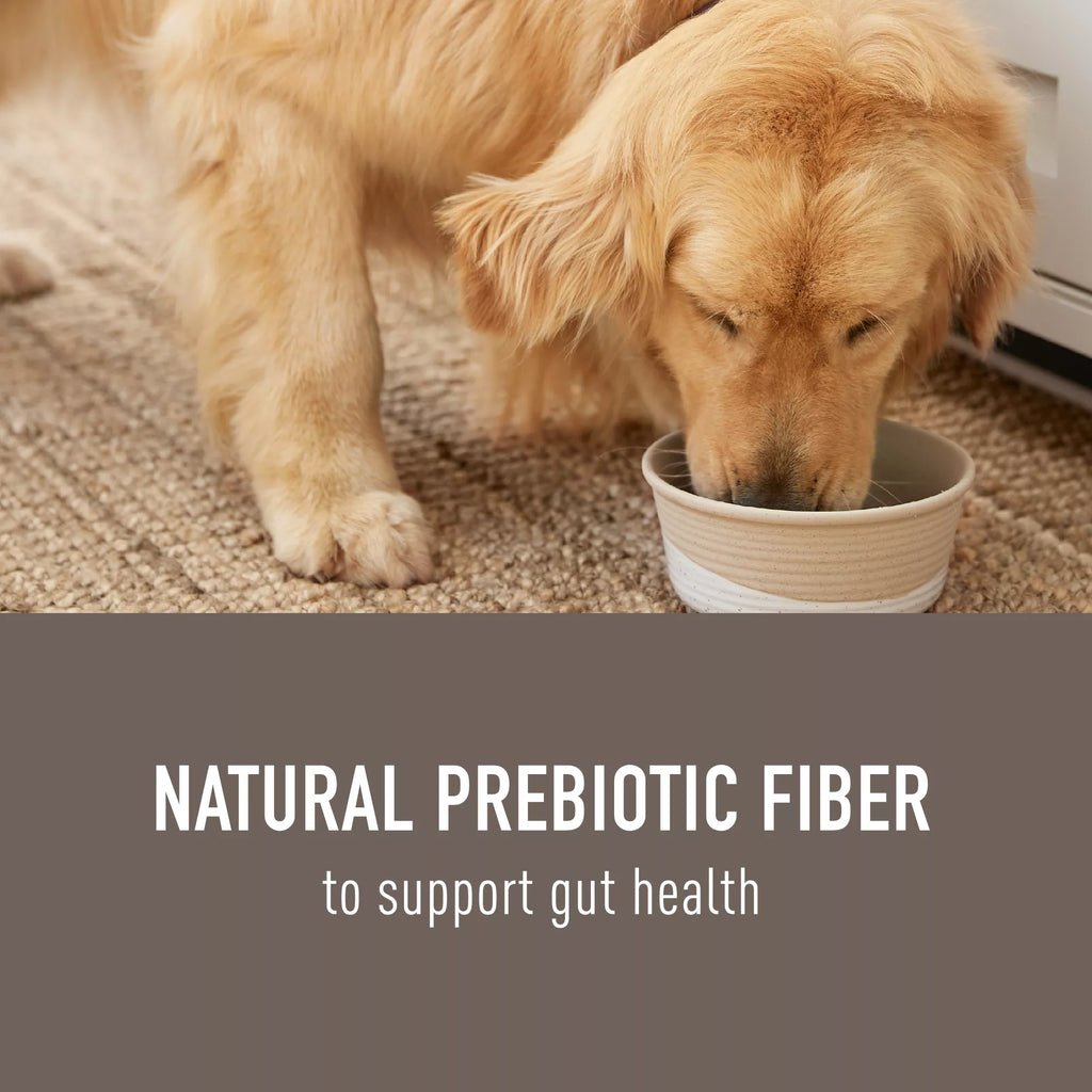 Simply Nourish Natural Pet Food Solutions Gut Health All Life Stage Dog Meal Topper - 3 Oz.,