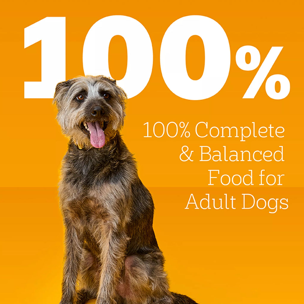 Pedigree High Protein All Life Stage Wet Dog Food - Chopped, 12 Count, Pet Food Variety Pack