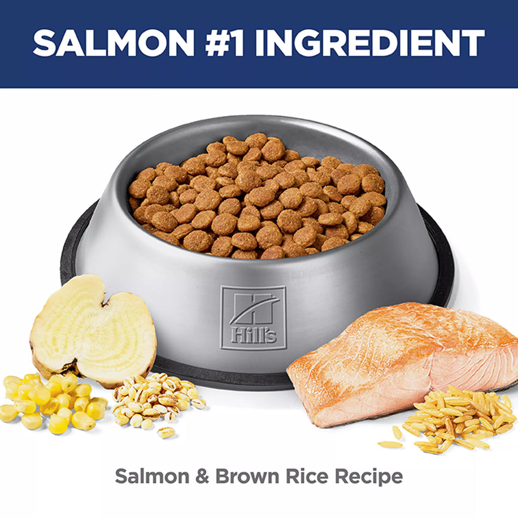 Hill's Science Diet Perfect Digestion Adult Dog Food - Dry - Salmon, Brown Rice & Whole Oats