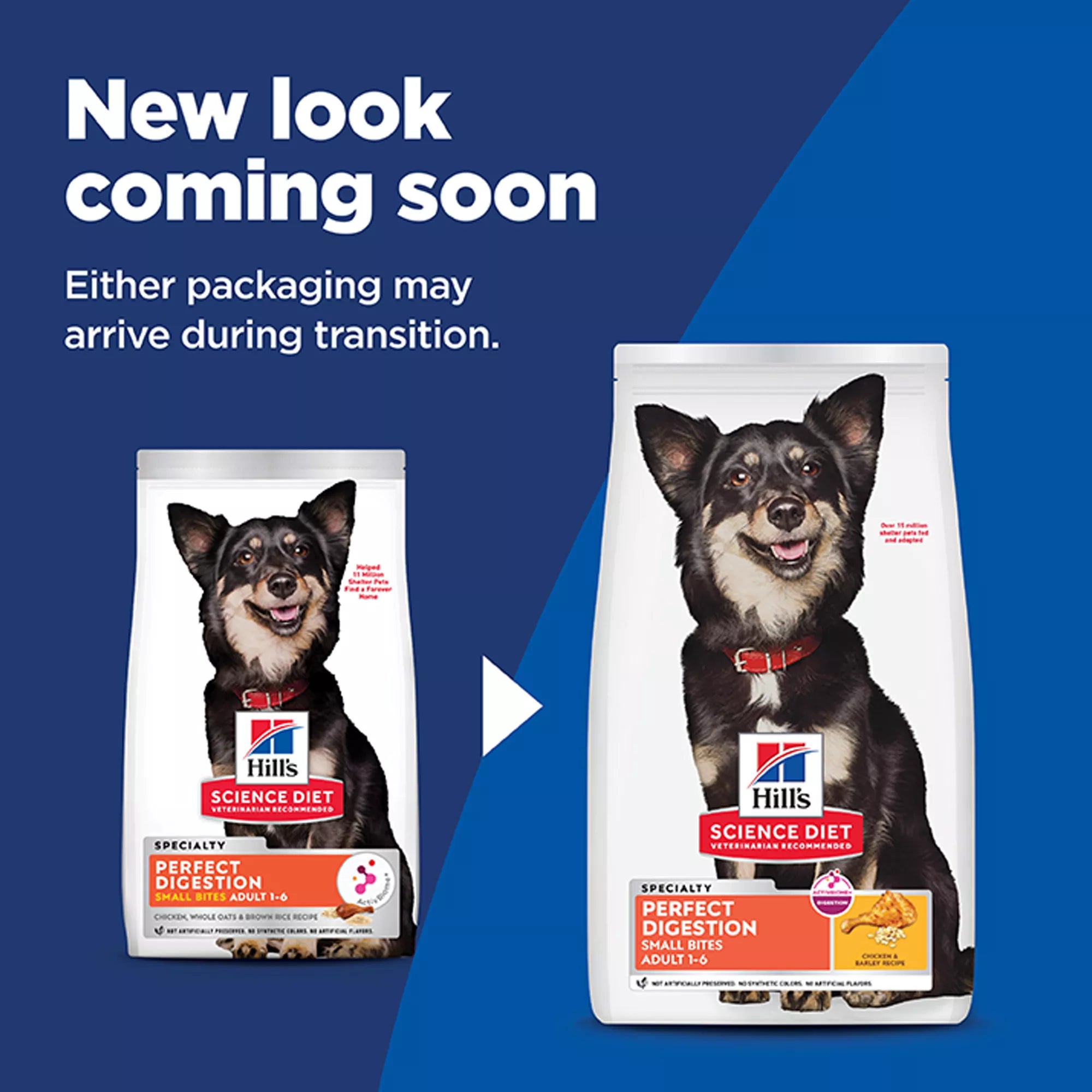 Hill's Science Diet Perfect Digestion Small Bites Adult Dog Food - Dry - Chicken, Whole Oats & Rice