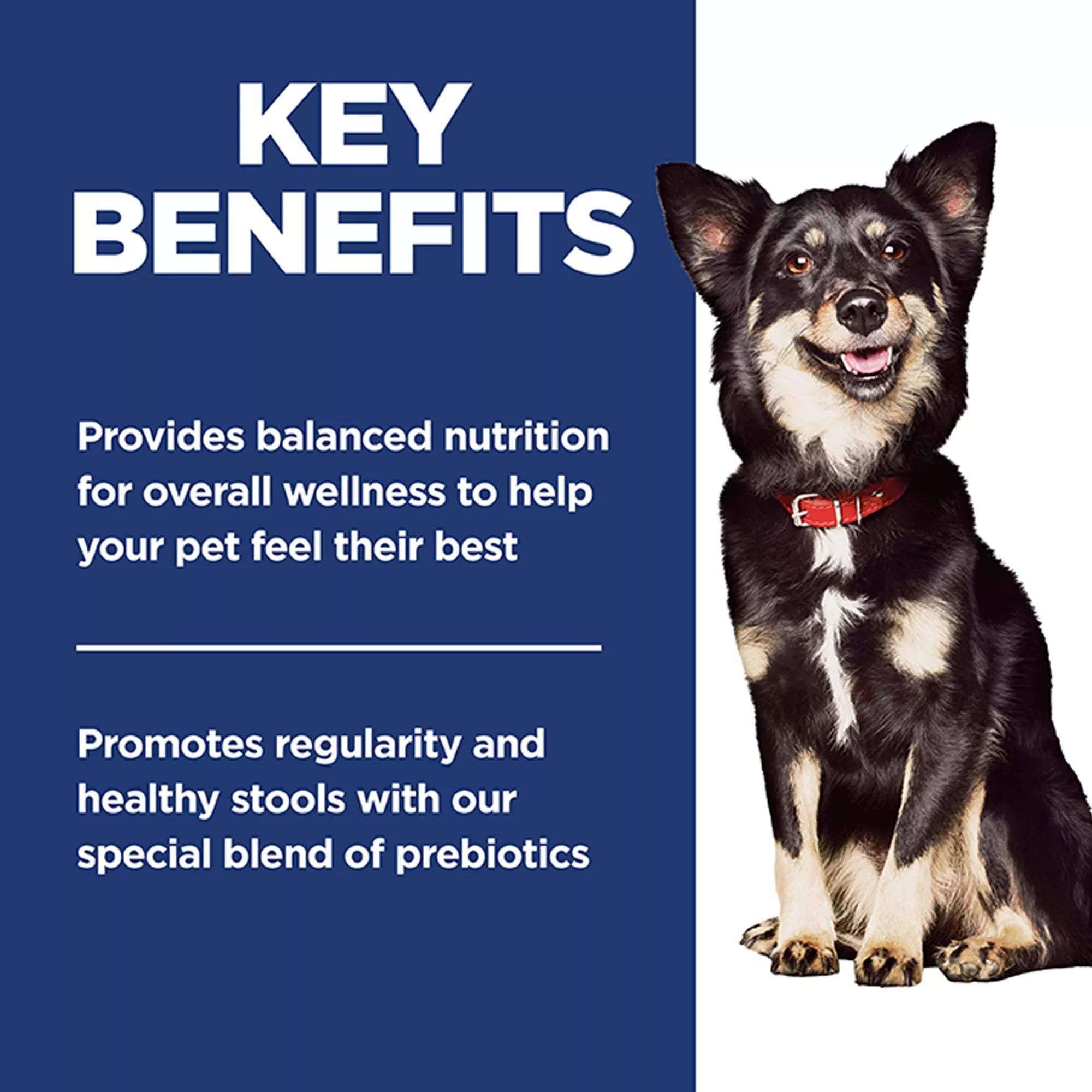 Hill's Science Diet Perfect Digestion Small Bites Adult Dog Food - Dry - Chicken, Whole Oats & Rice