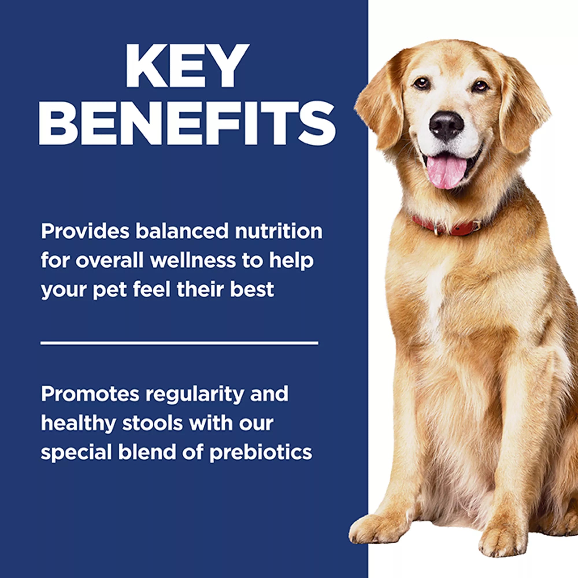 Hill's Science Diet Perfect Digestion Senior 7+ Dry Dog Food - Chicken, Whole Oats & Brown Rice