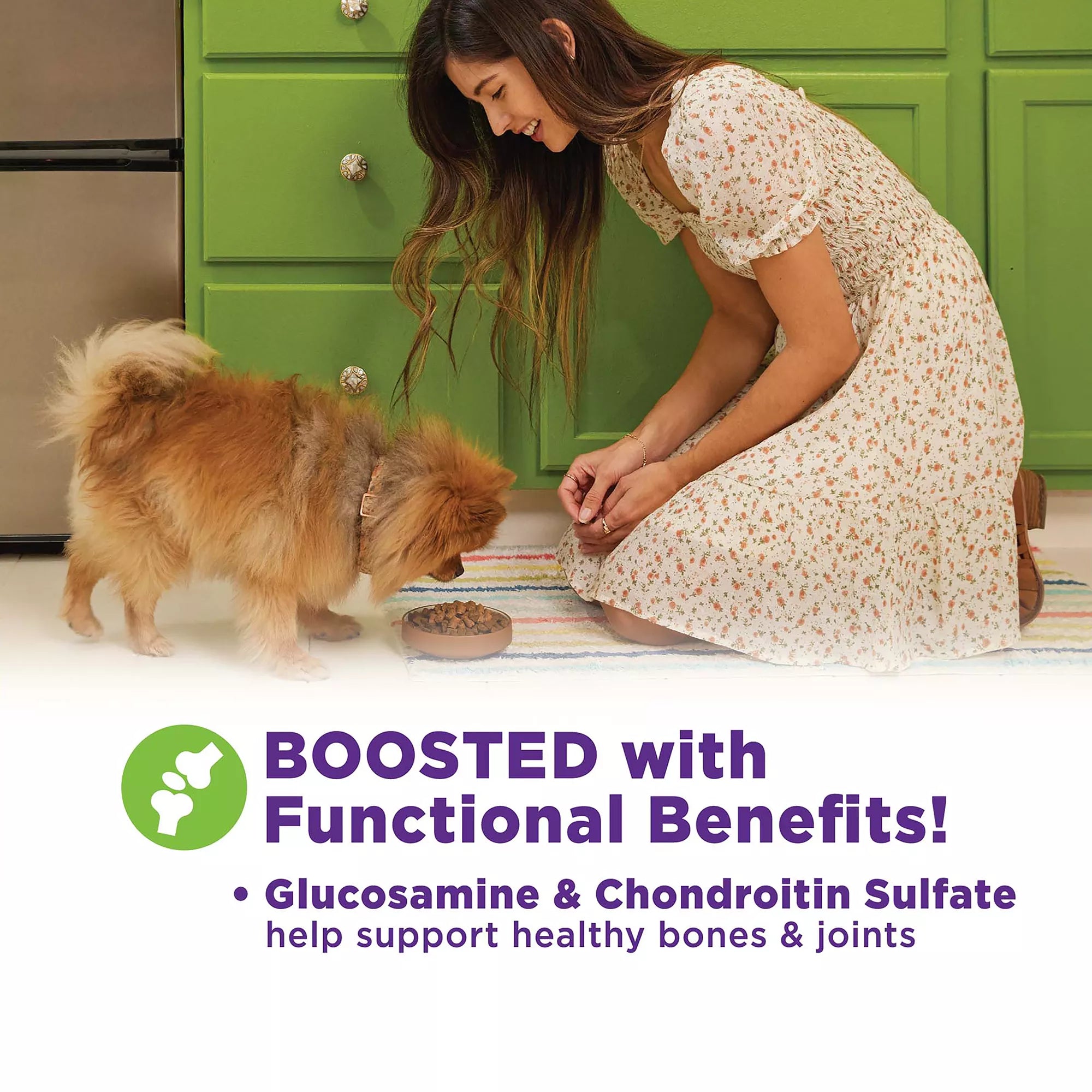 Wellness CORE Bowl Boosters All Life Stage Dog Food Topper - Joint Health, Chicken